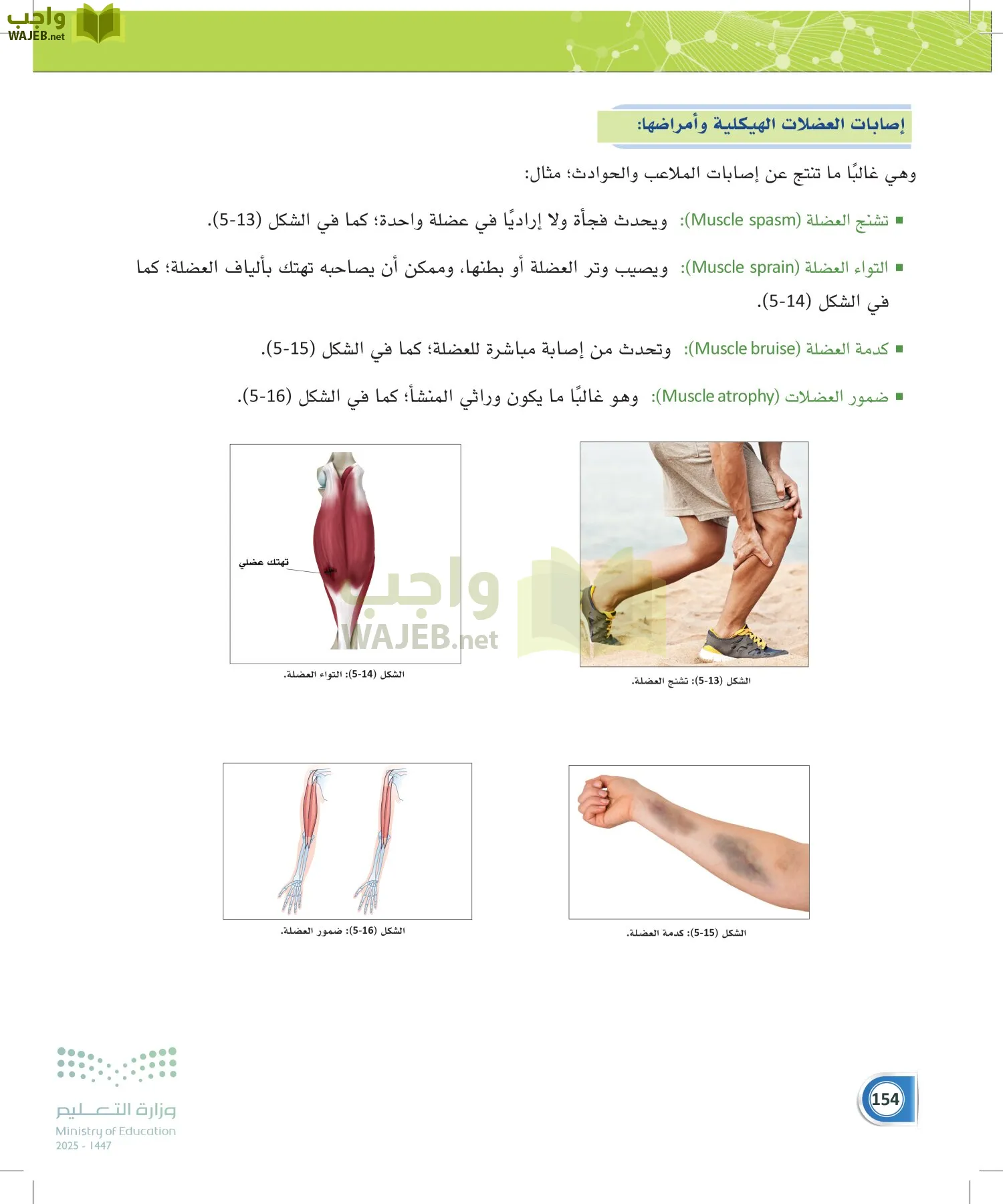 أنظمة جسم الإنسان page-153