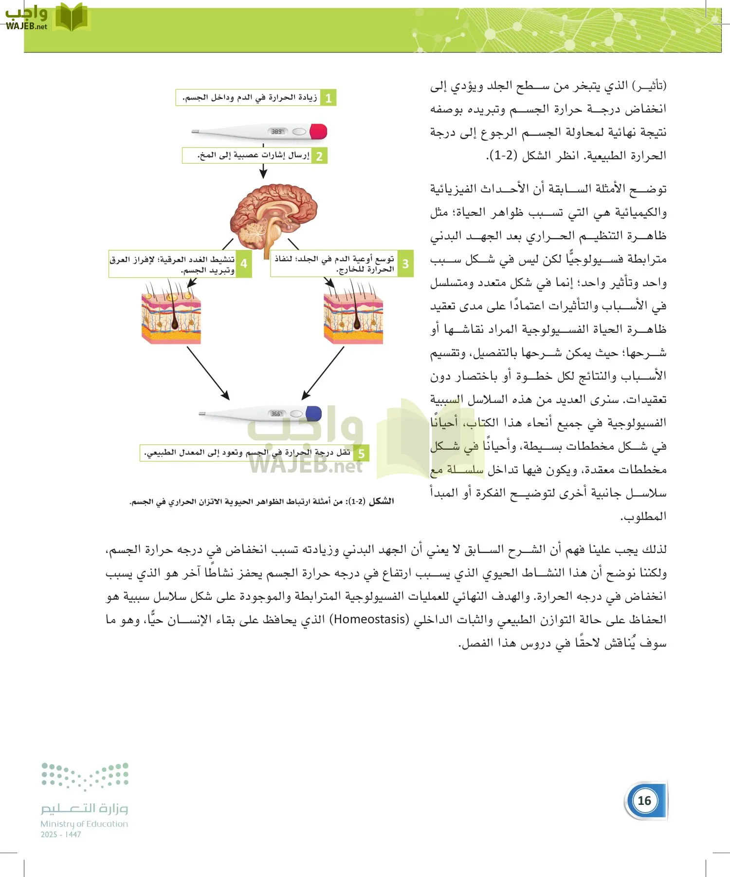أنظمة جسم الإنسان page-15