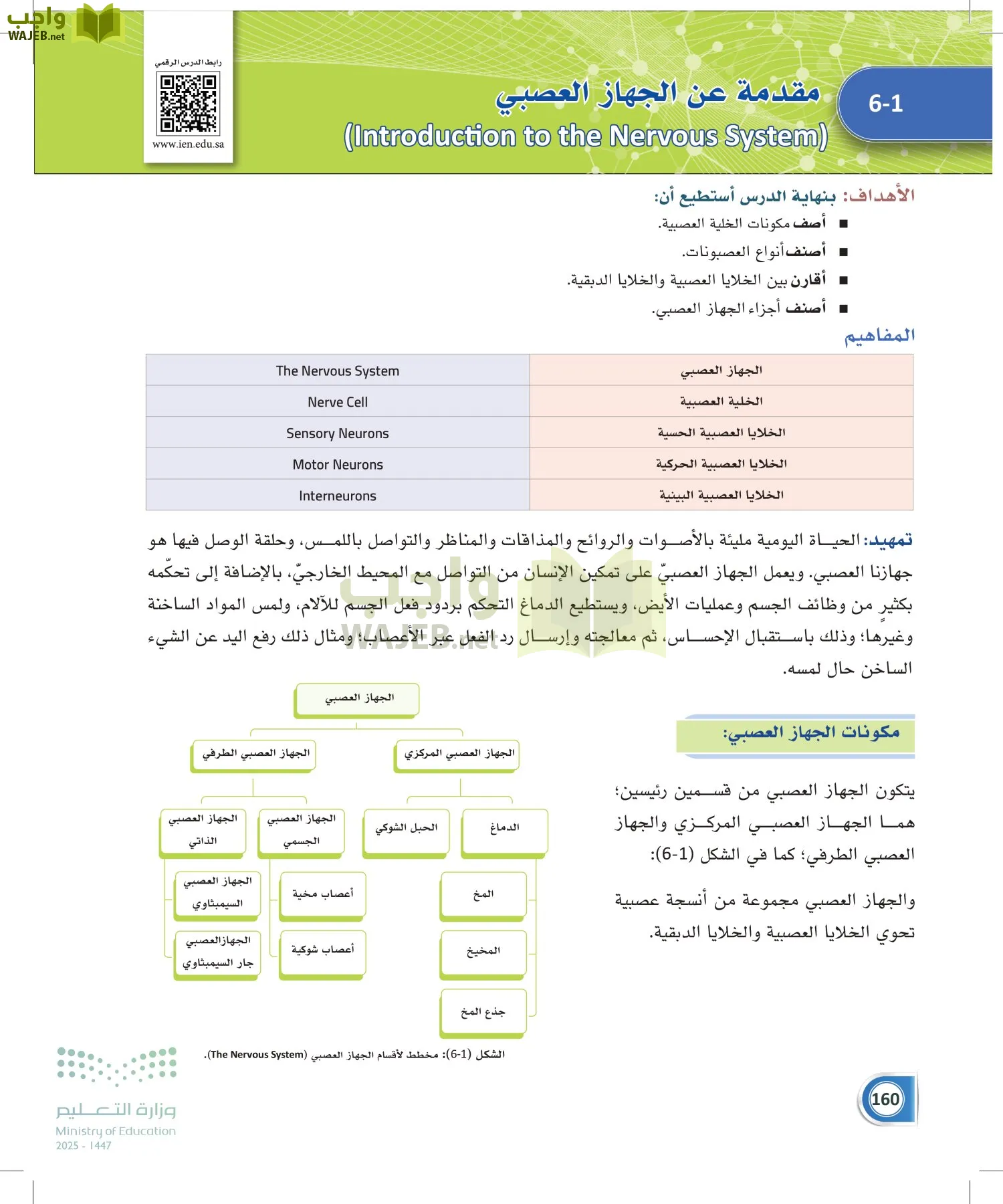 أنظمة جسم الإنسان page-159