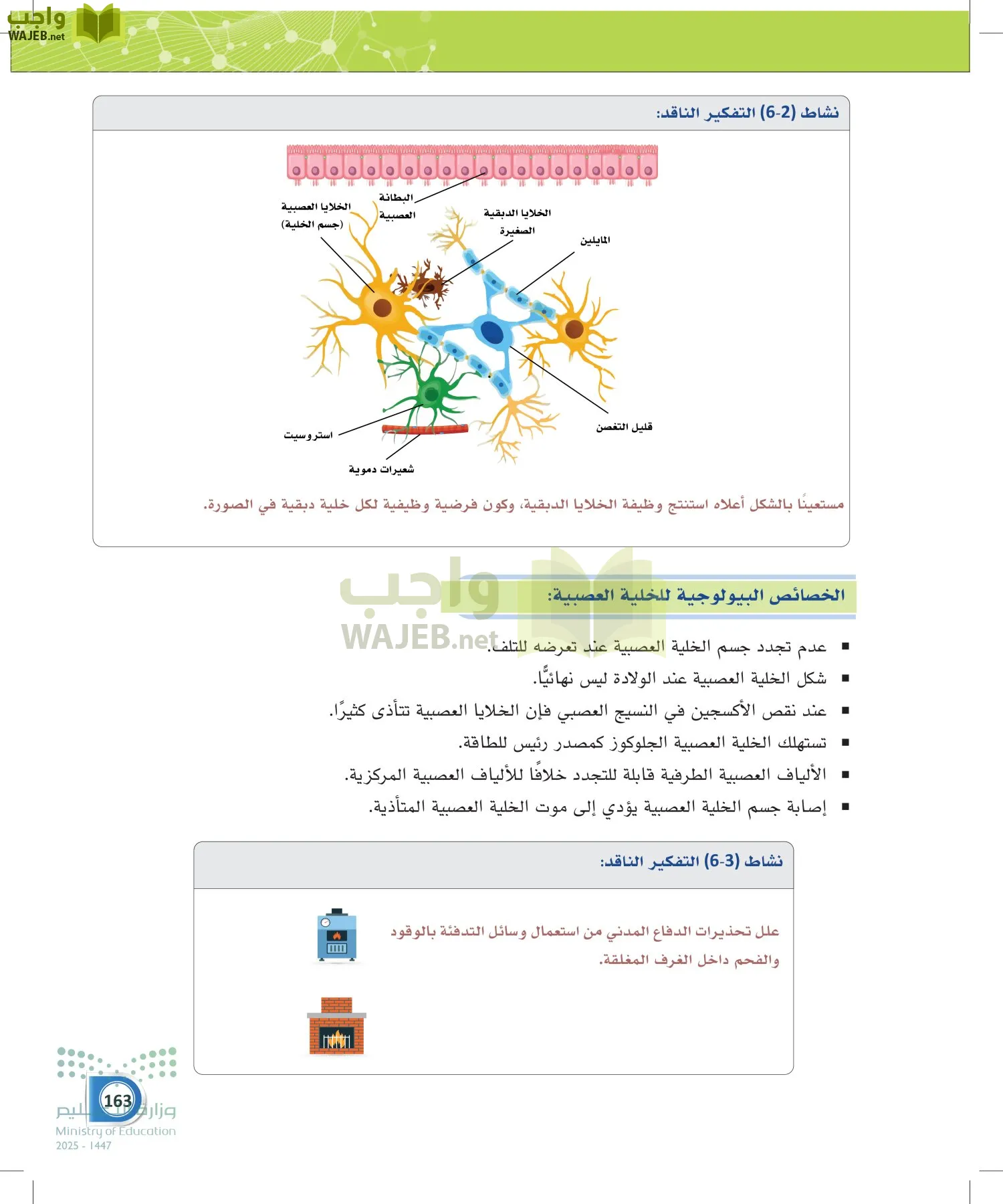 أنظمة جسم الإنسان page-162