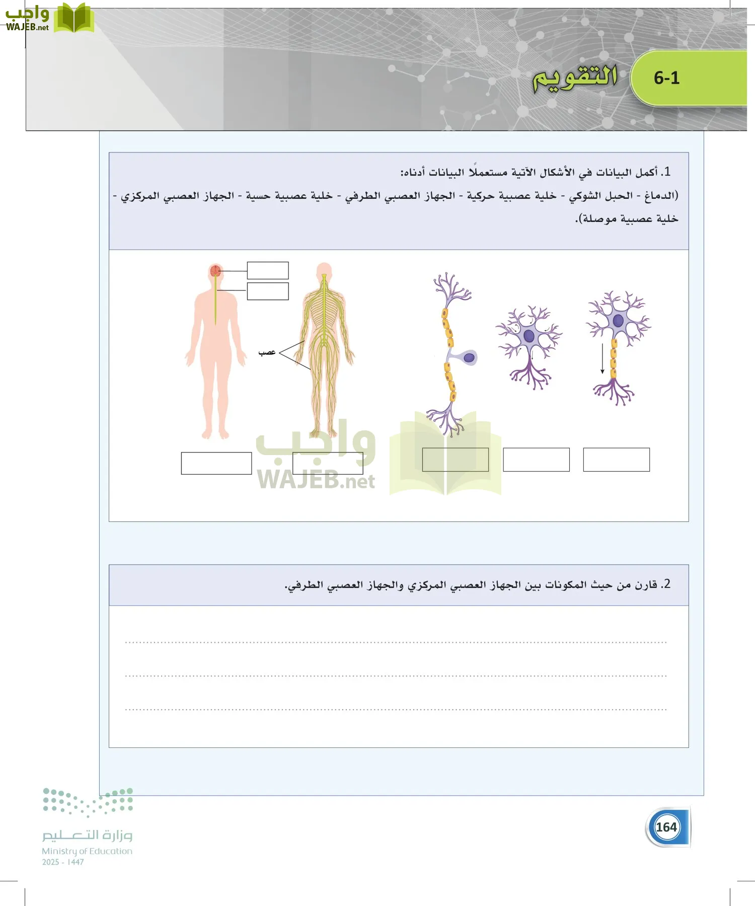 أنظمة جسم الإنسان page-163