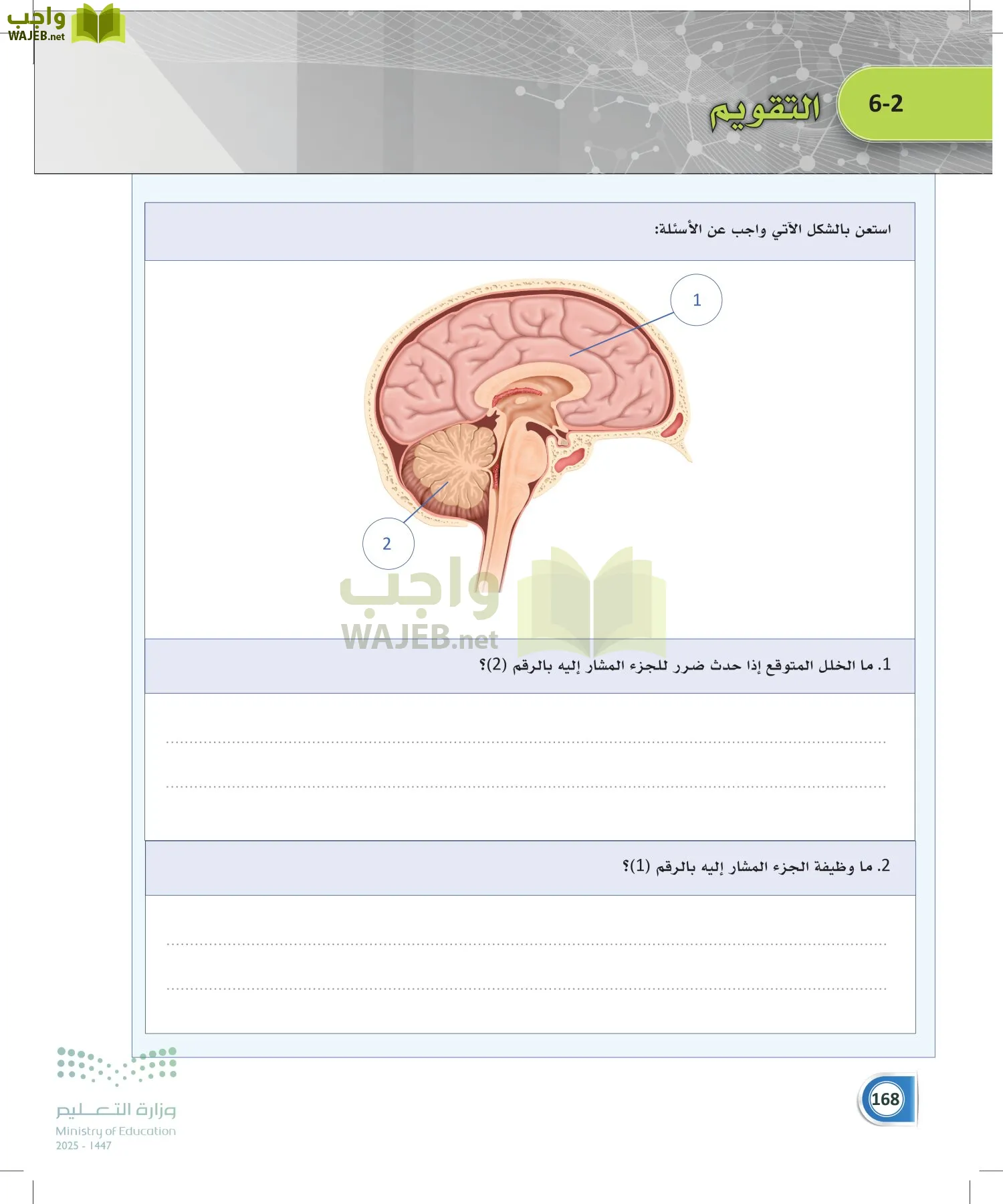 أنظمة جسم الإنسان page-167