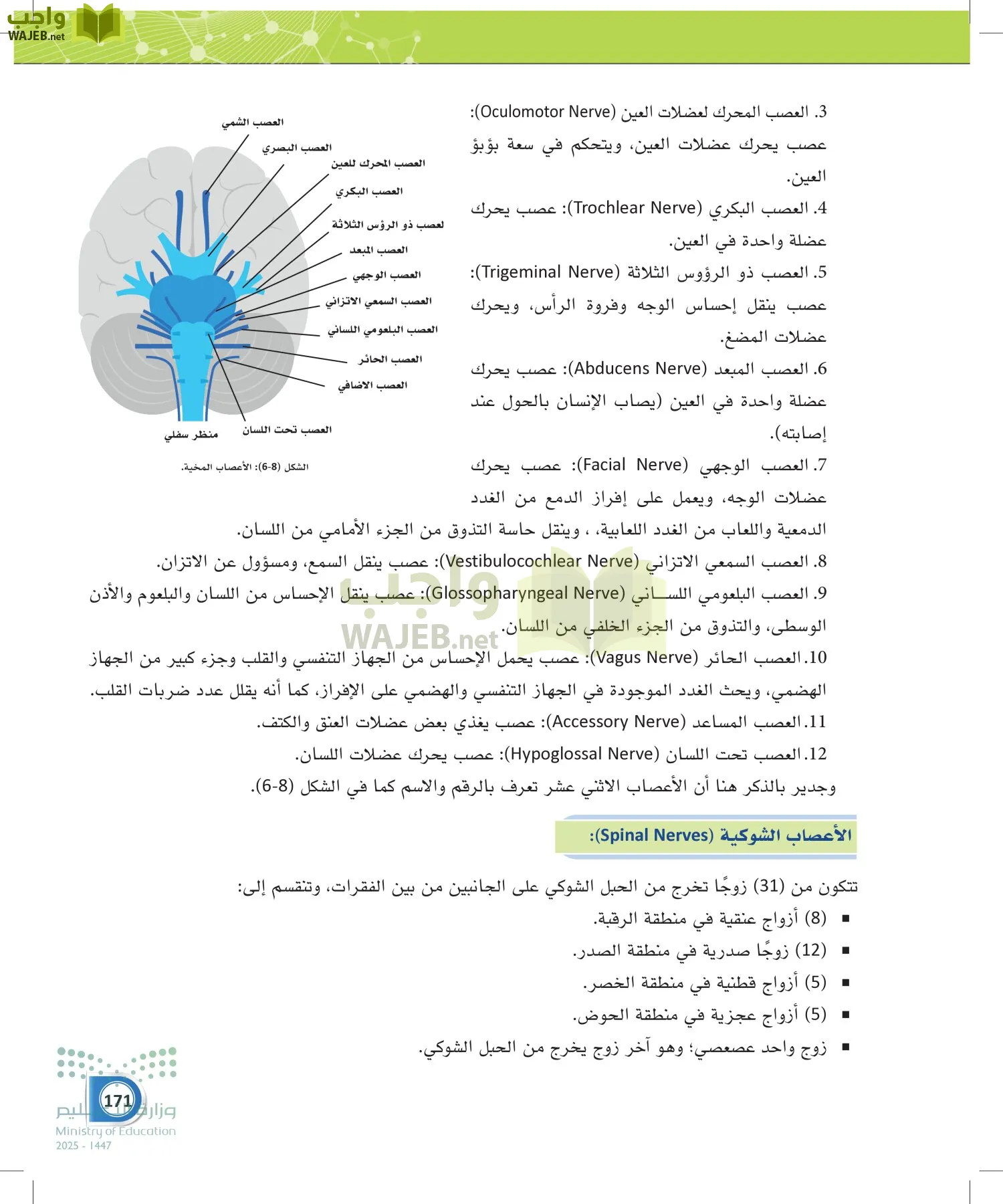 أنظمة جسم الإنسان page-170