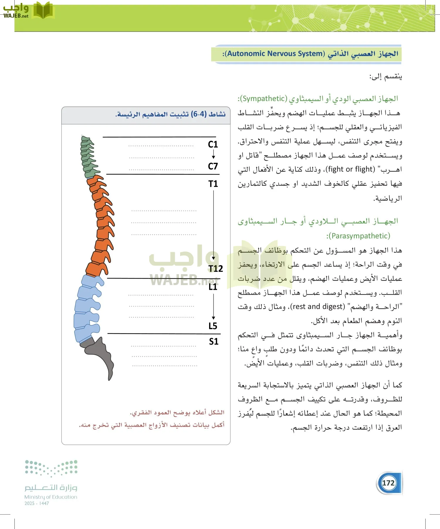 أنظمة جسم الإنسان page-171