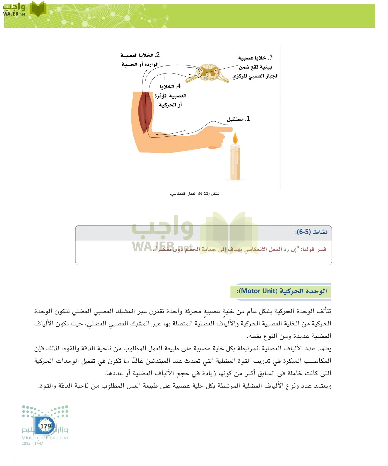 أنظمة جسم الإنسان page-178