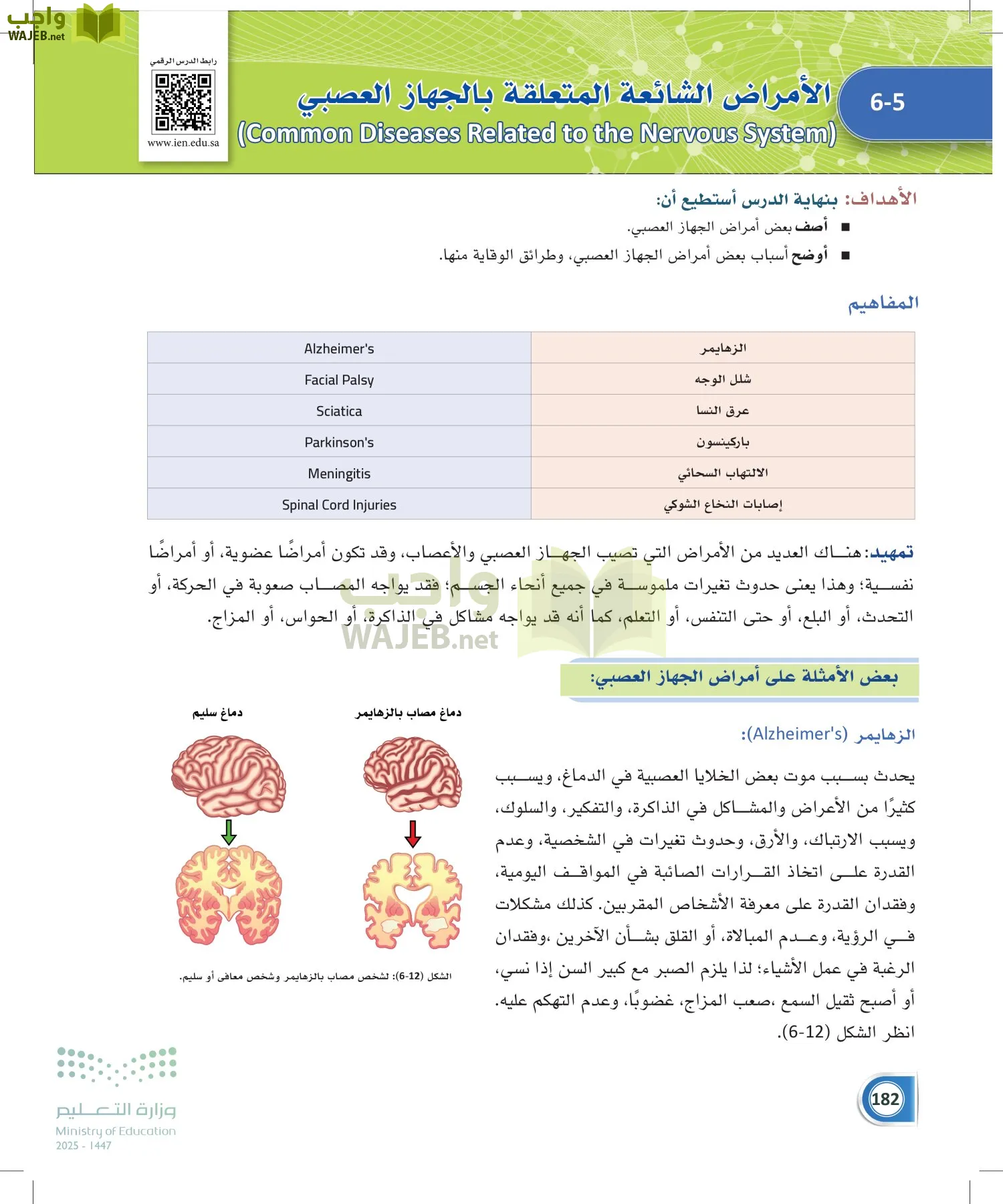 أنظمة جسم الإنسان page-181