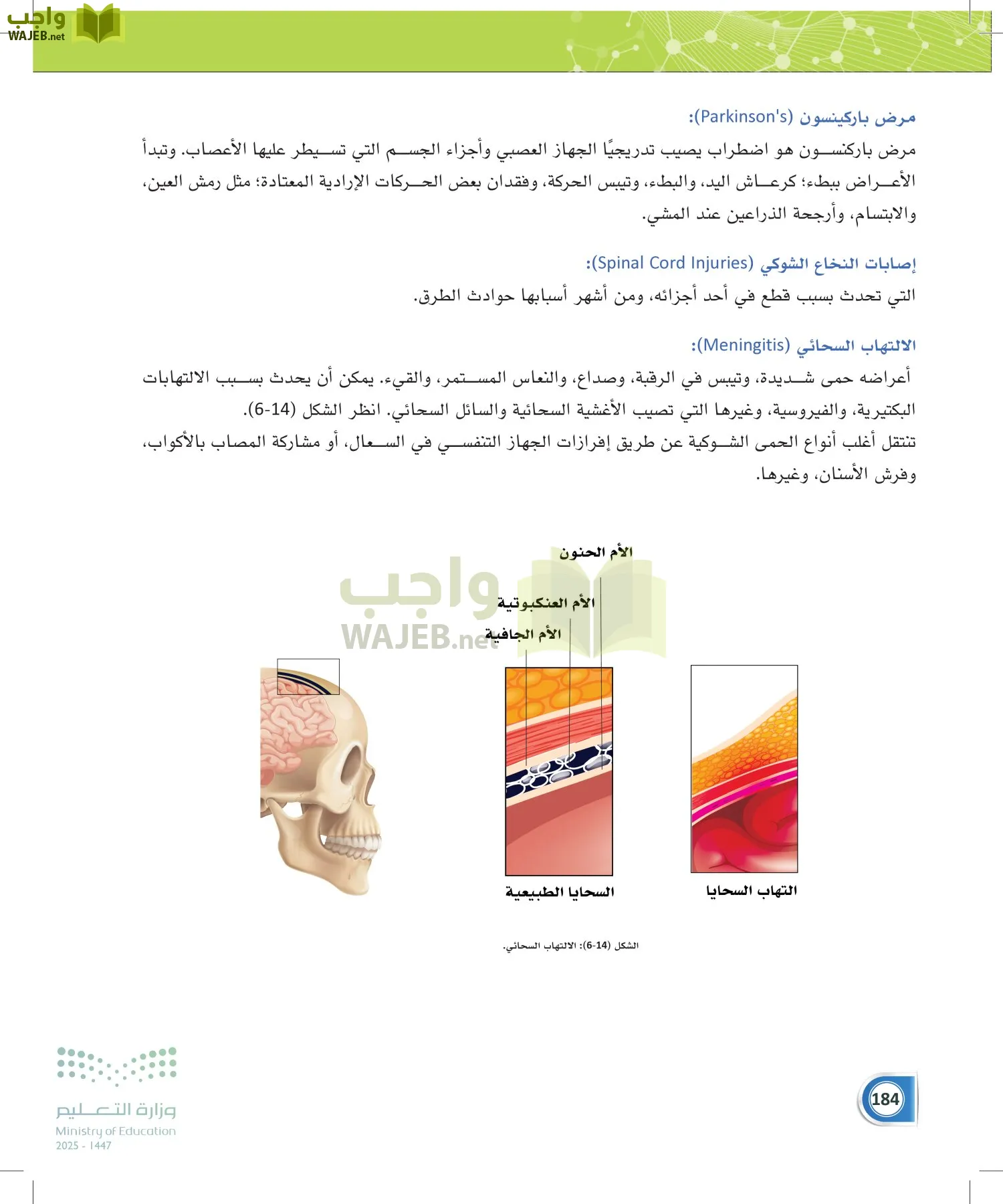 أنظمة جسم الإنسان page-183