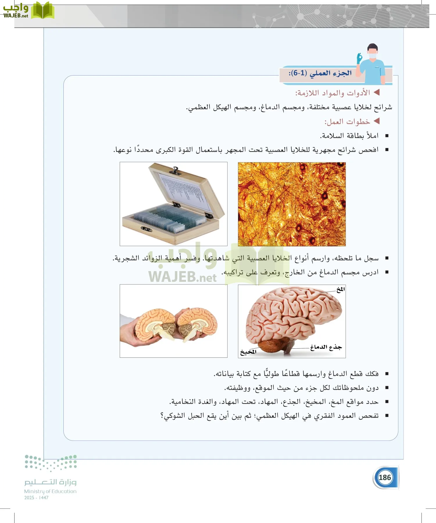 أنظمة جسم الإنسان page-185