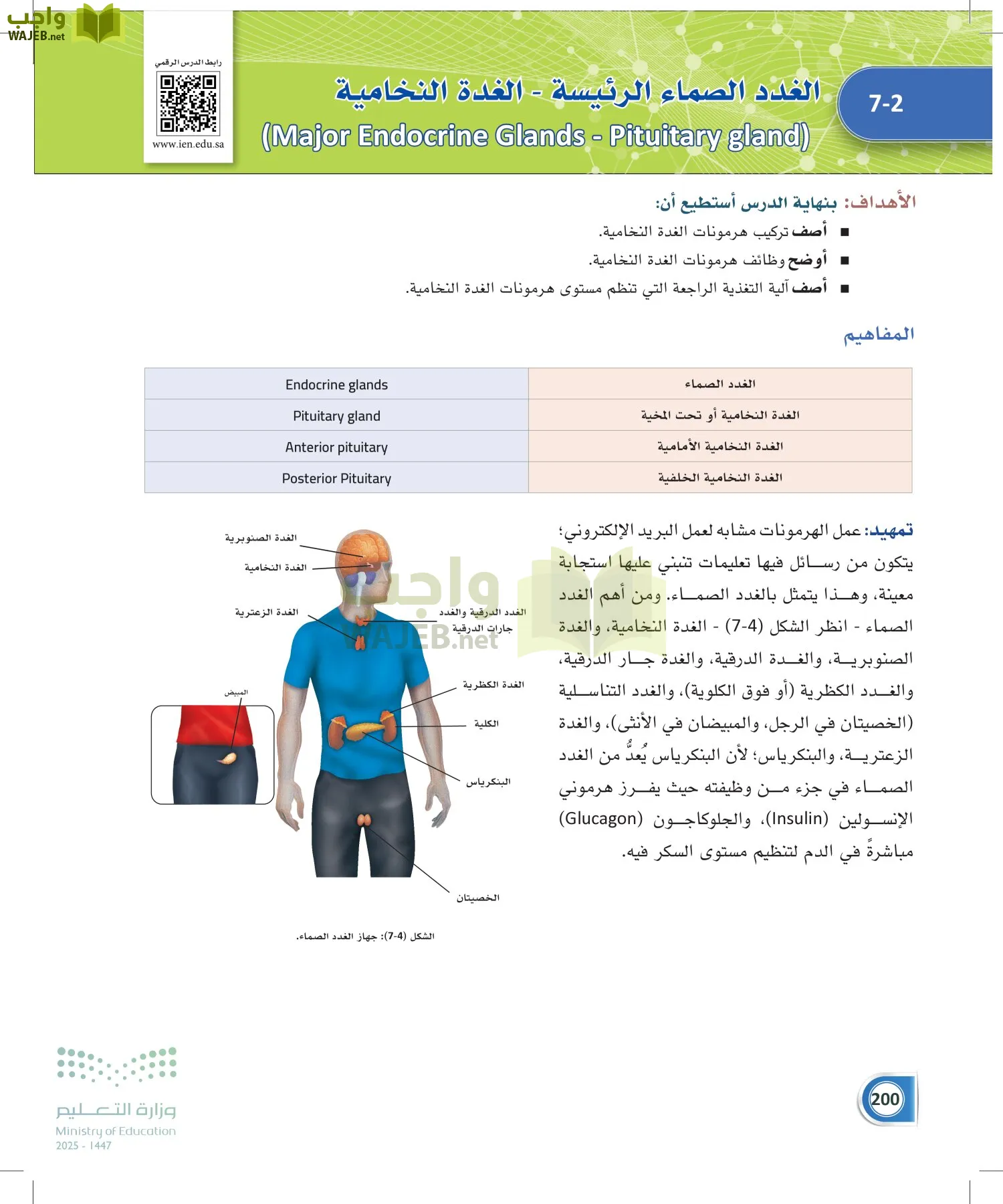 أنظمة جسم الإنسان page-199