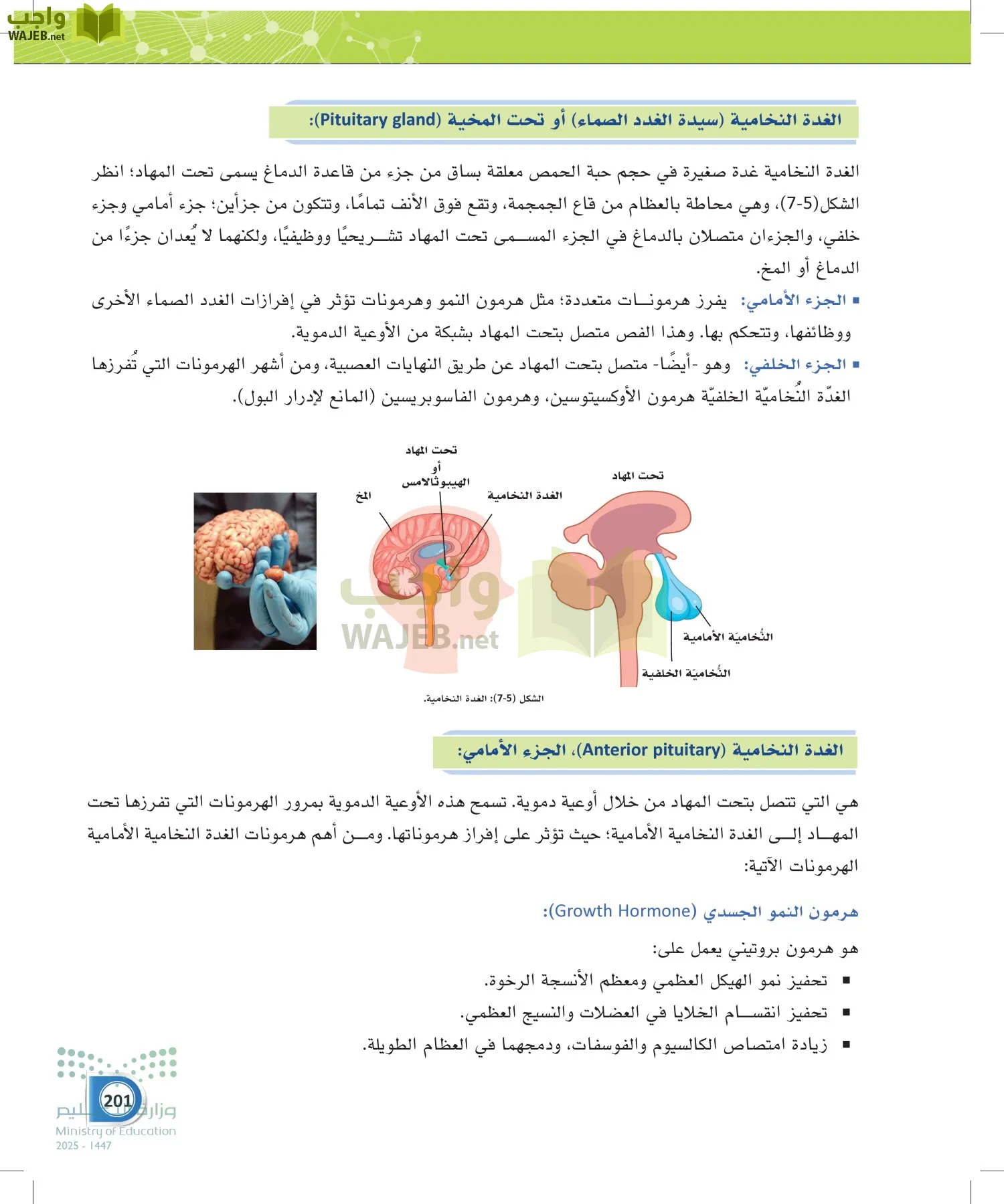 أنظمة جسم الإنسان page-200