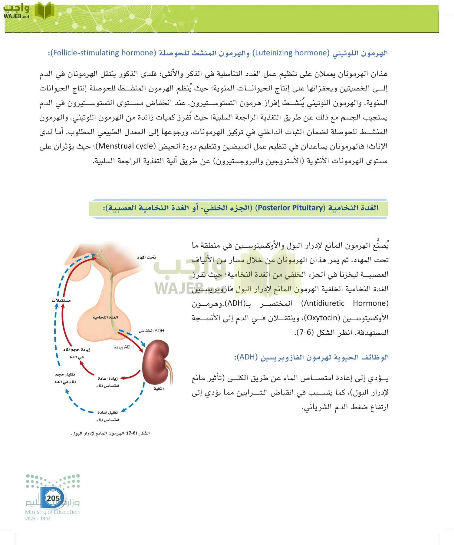 أنظمة جسم الإنسان page-204