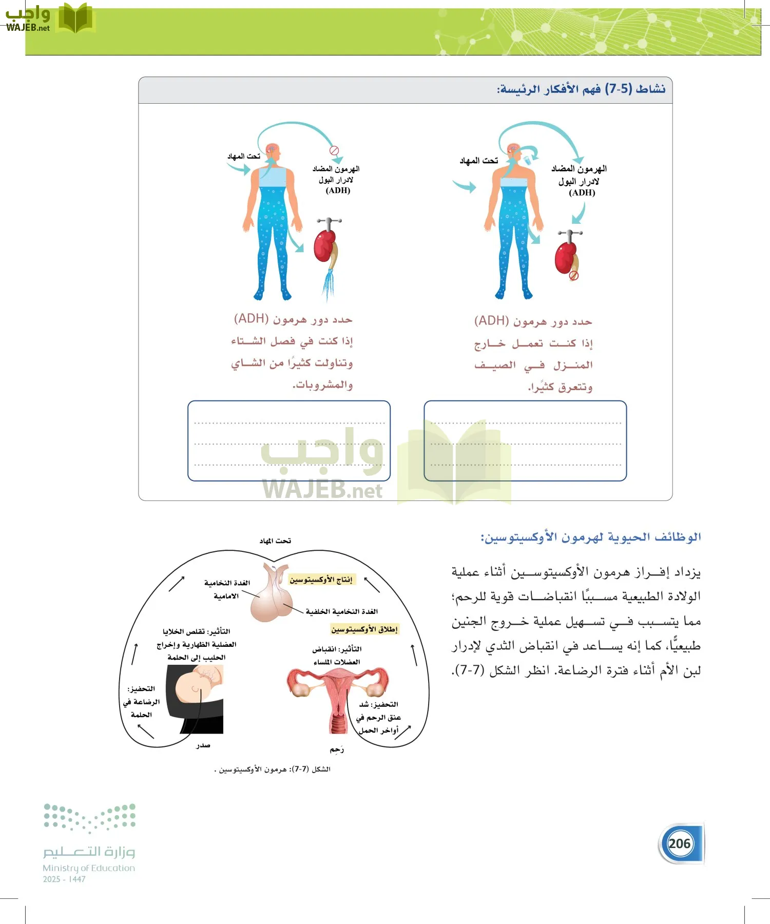 أنظمة جسم الإنسان page-205