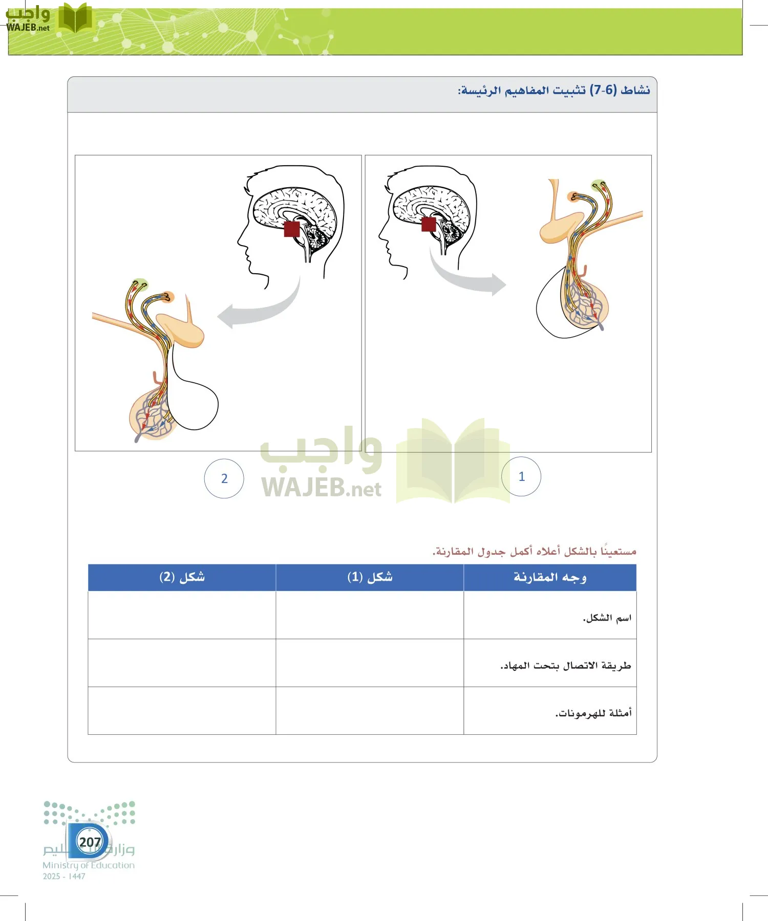 أنظمة جسم الإنسان page-206