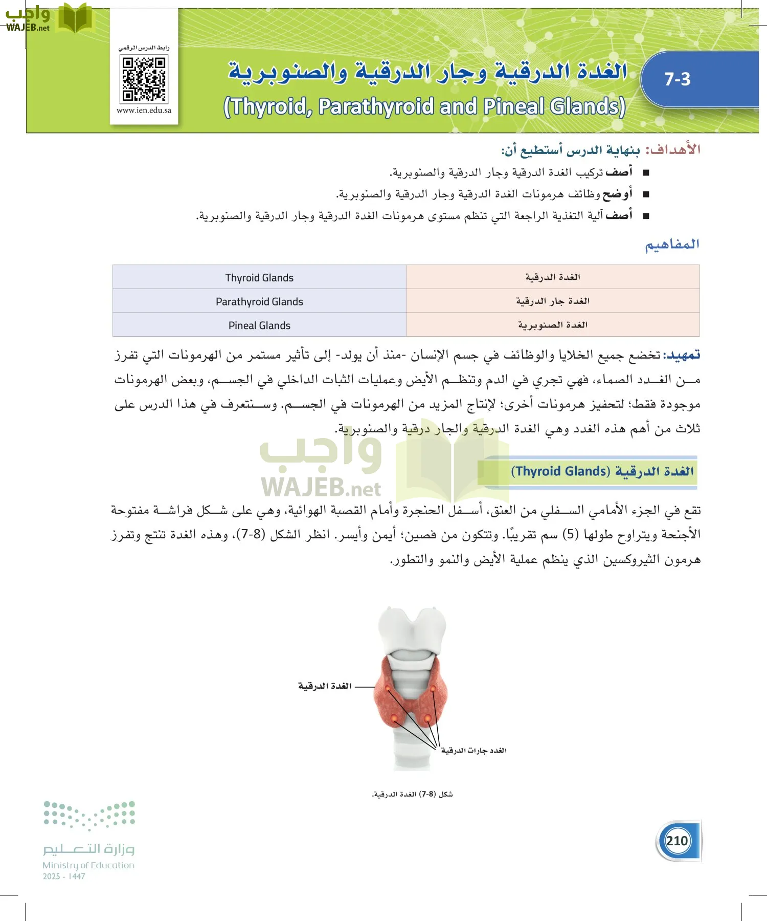 أنظمة جسم الإنسان page-209