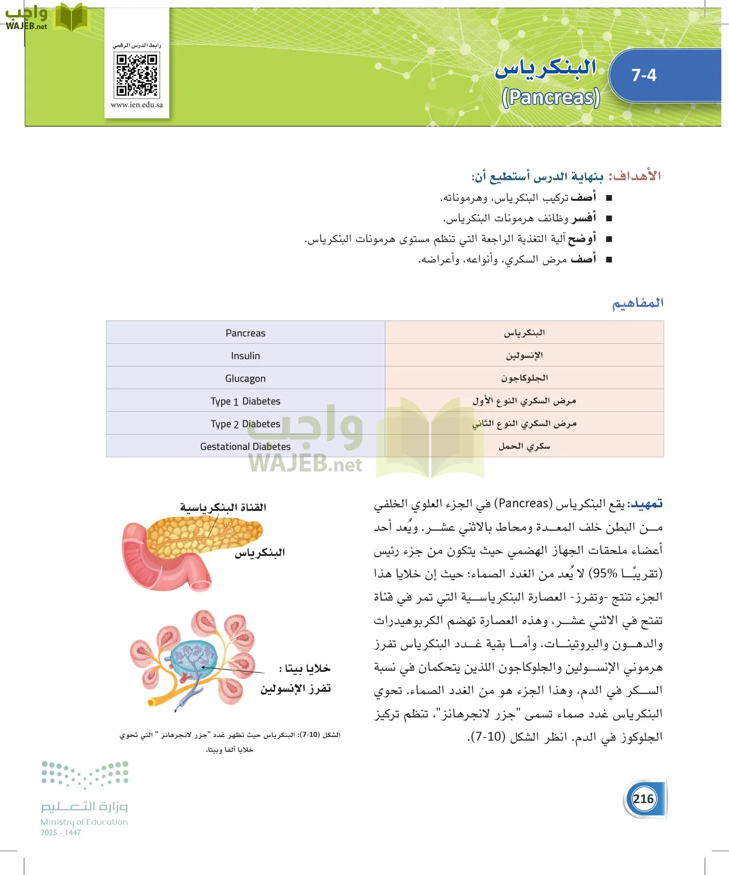 أنظمة جسم الإنسان page-215
