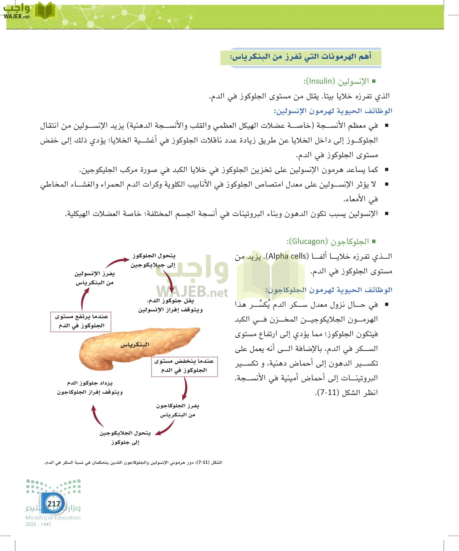 أنظمة جسم الإنسان page-216