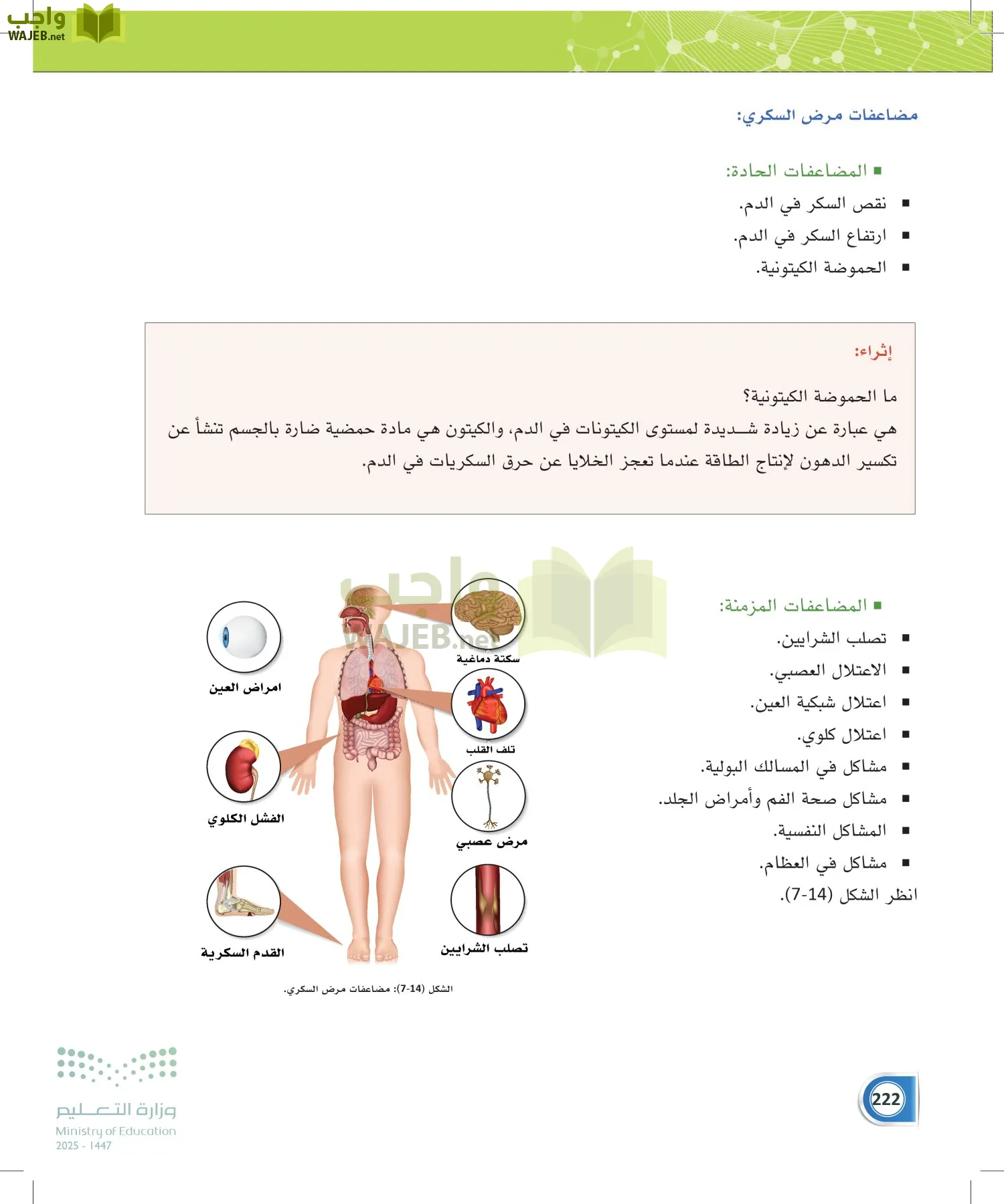 أنظمة جسم الإنسان page-221