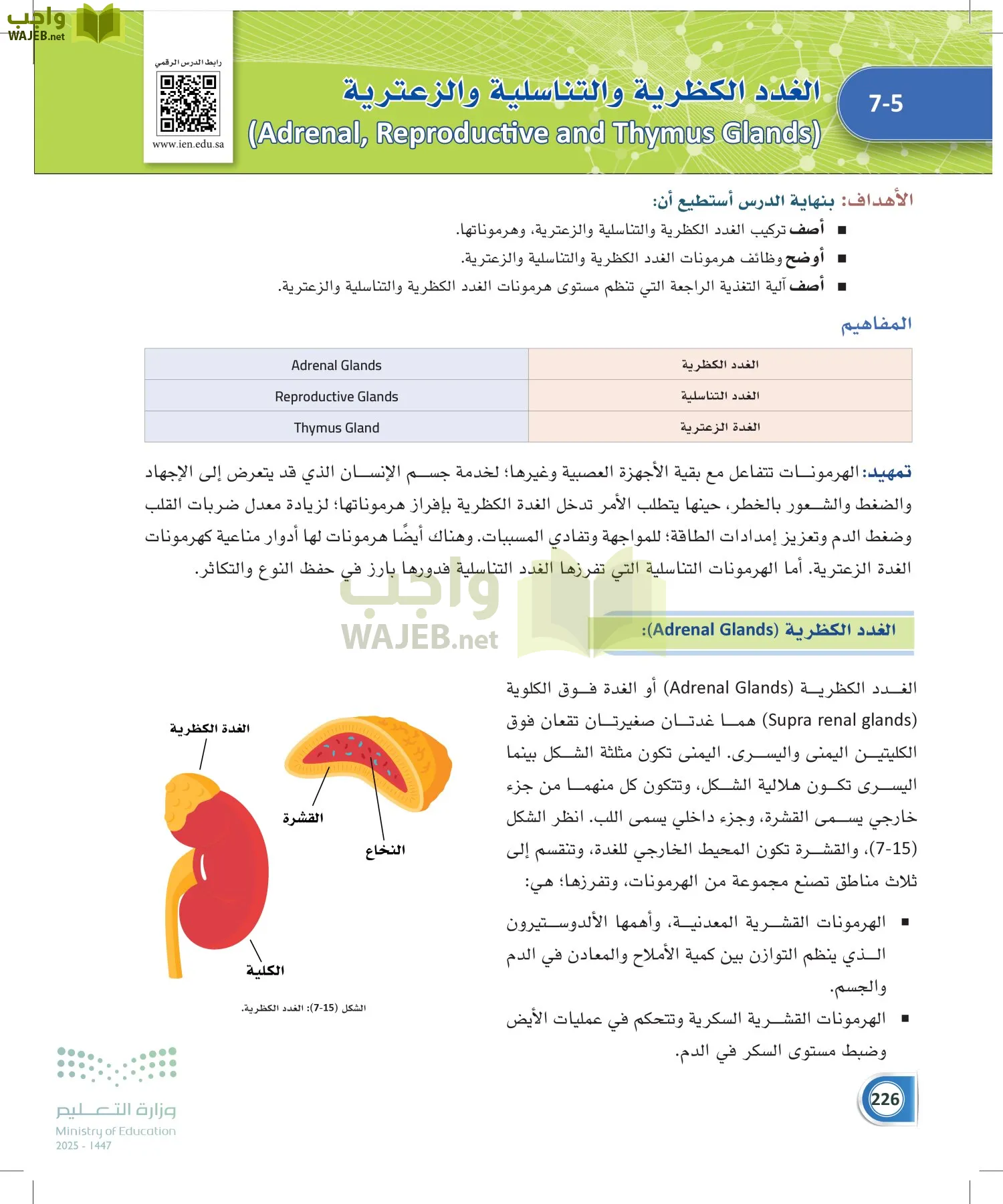 أنظمة جسم الإنسان page-225