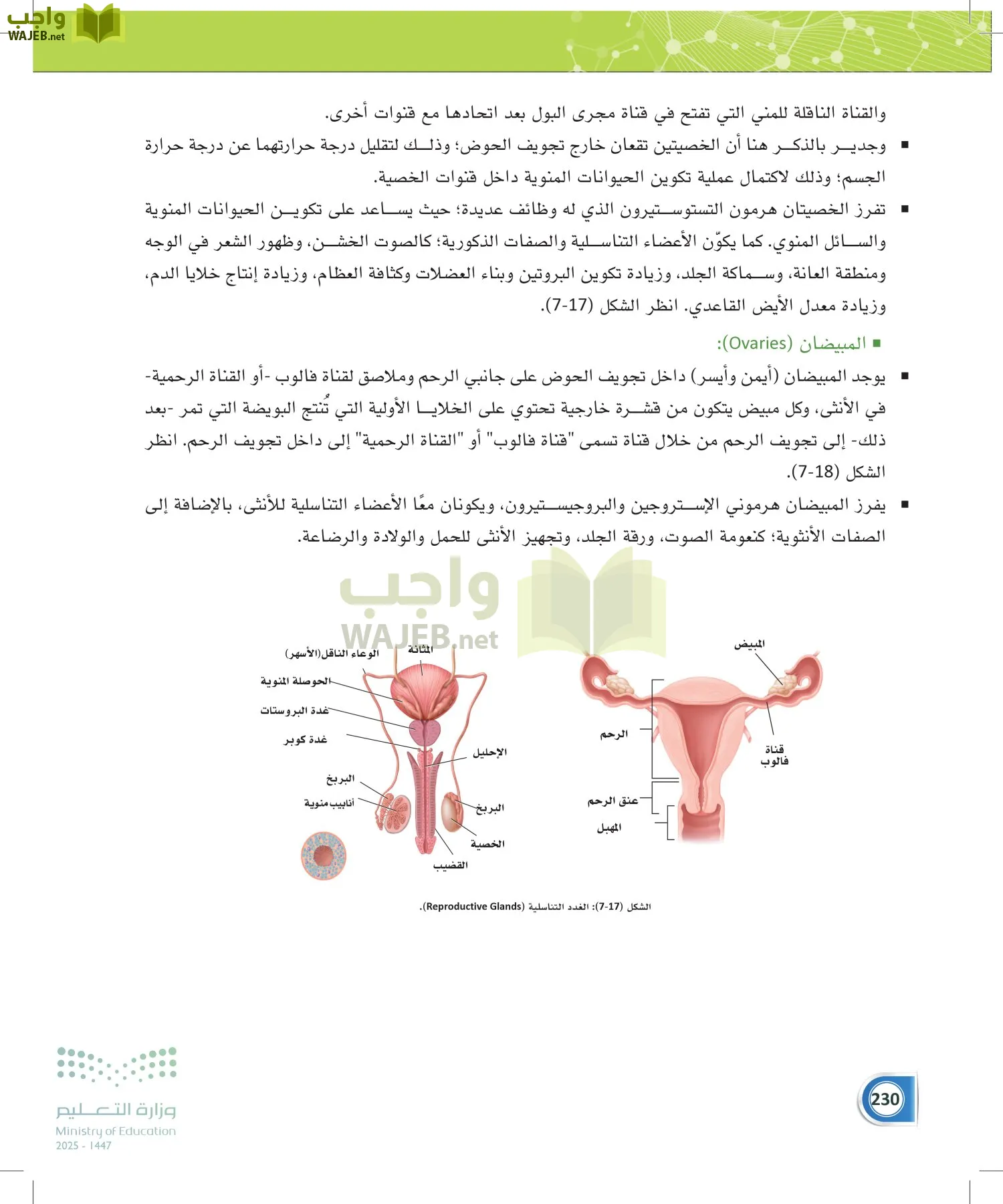 أنظمة جسم الإنسان page-229