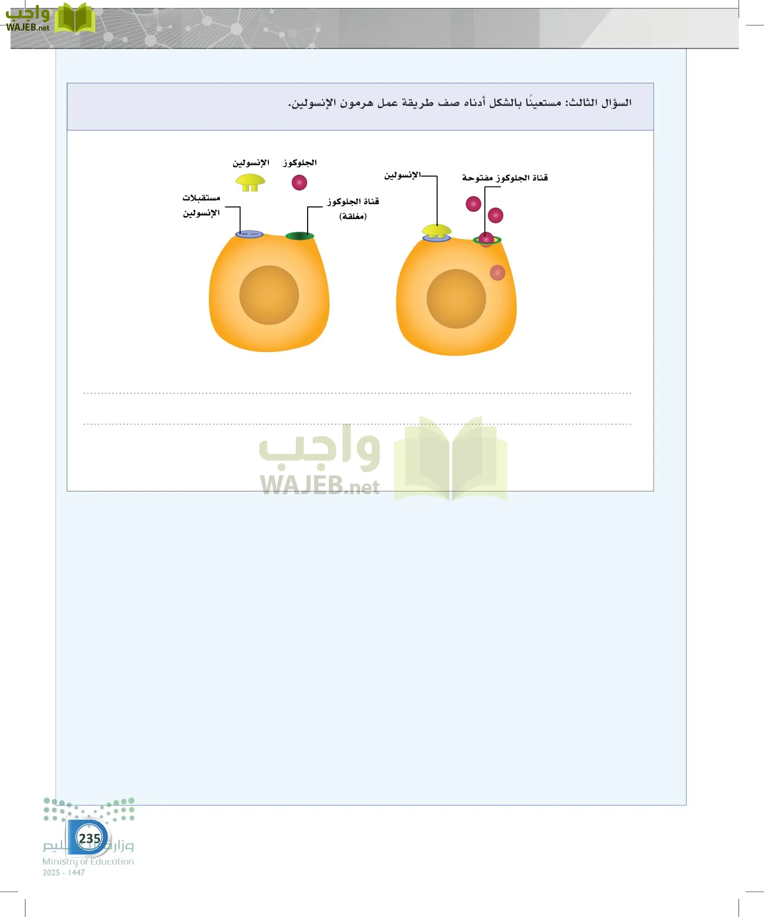 أنظمة جسم الإنسان page-234