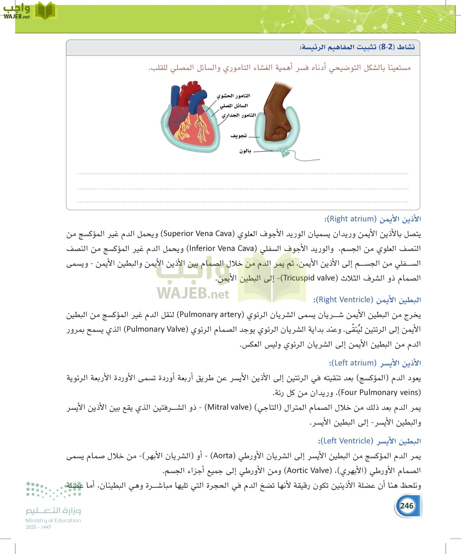 أنظمة جسم الإنسان page-245