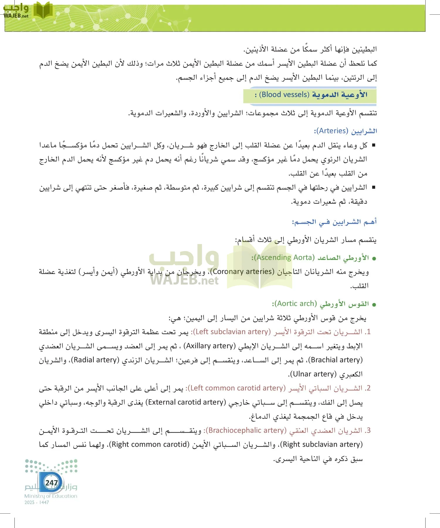 أنظمة جسم الإنسان page-246