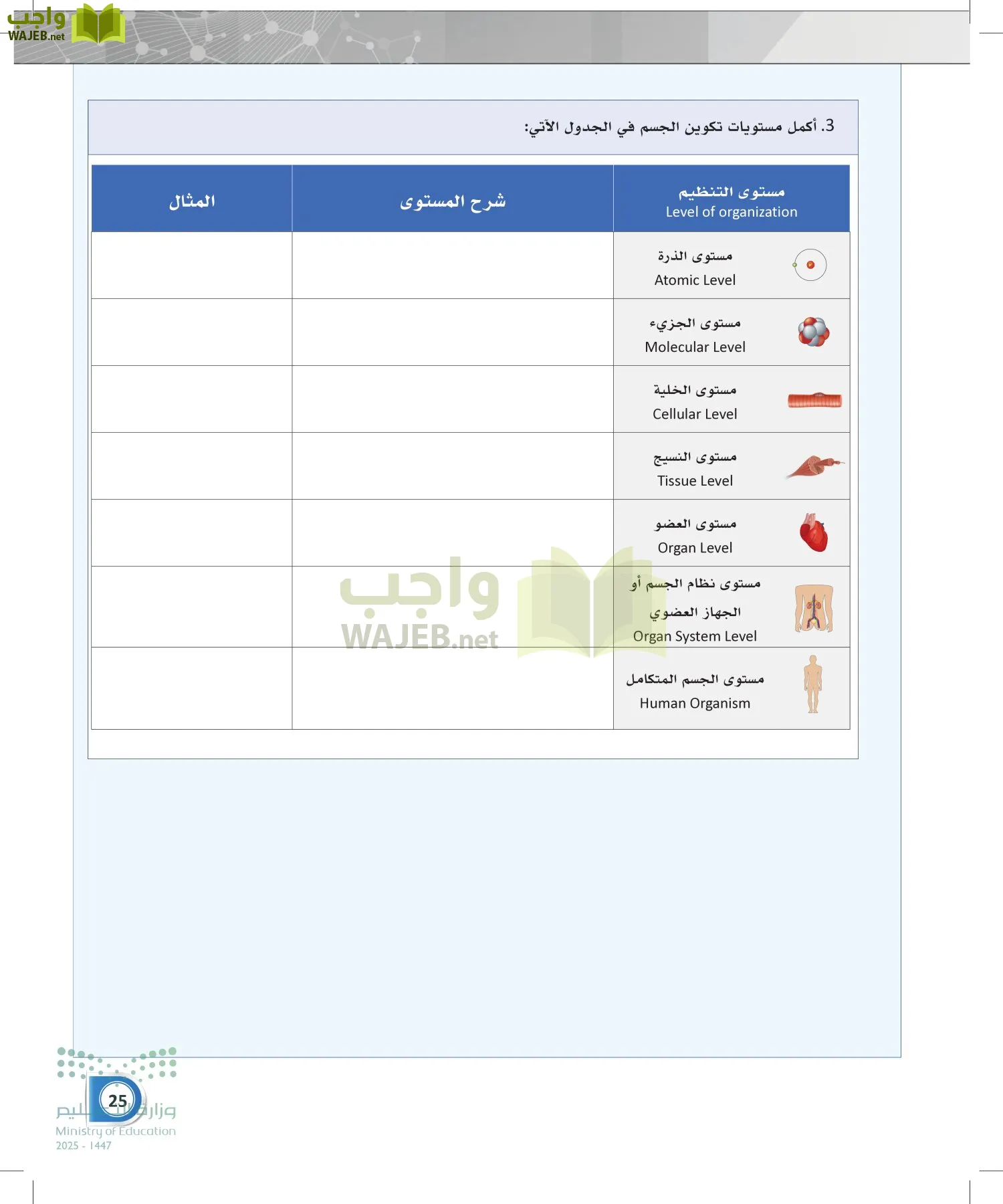 أنظمة جسم الإنسان page-24