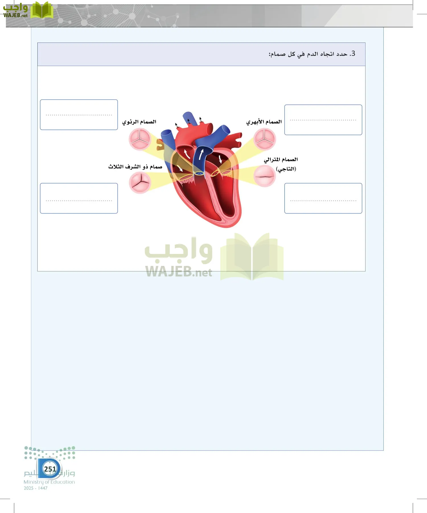 أنظمة جسم الإنسان page-250