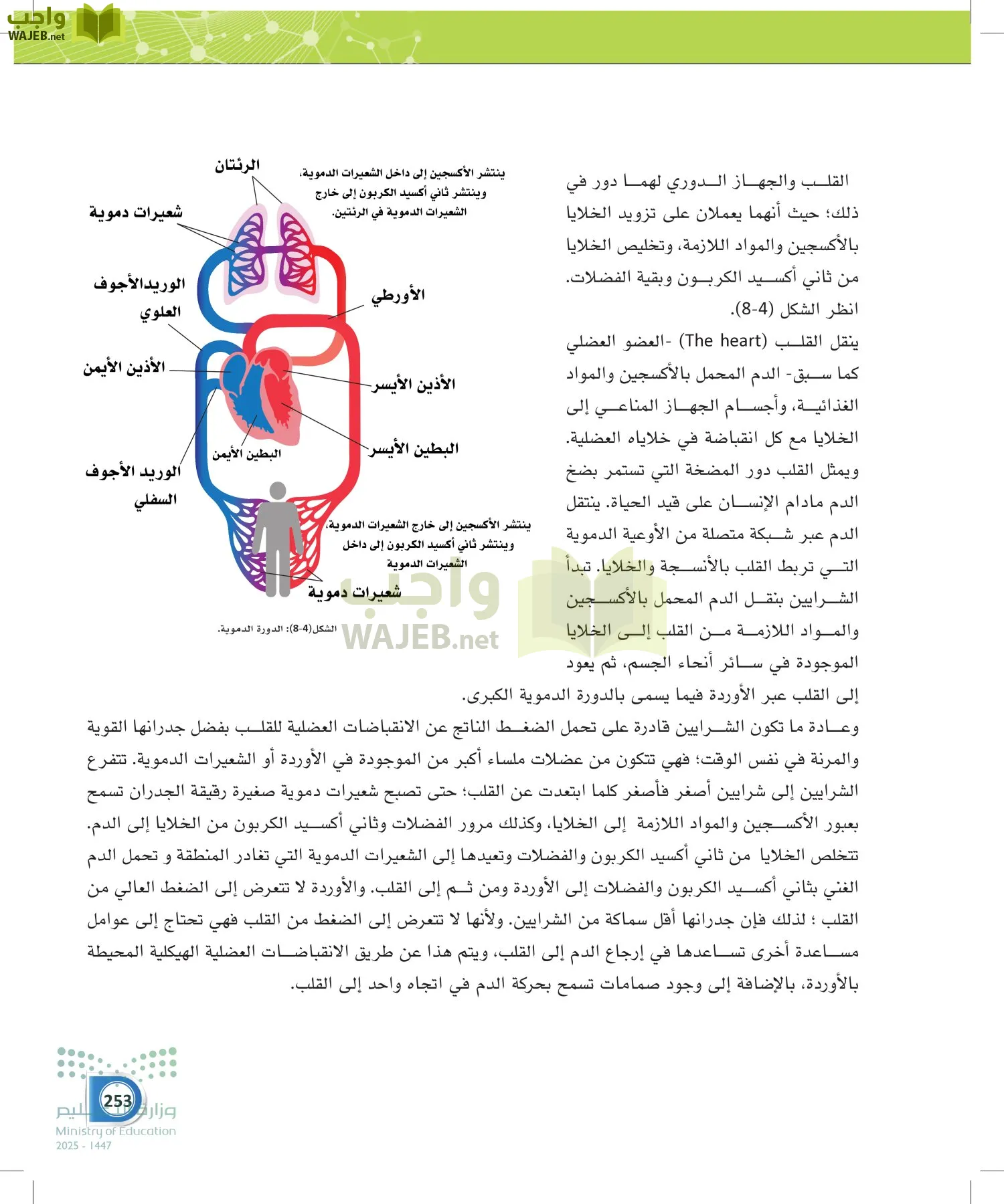 أنظمة جسم الإنسان page-252