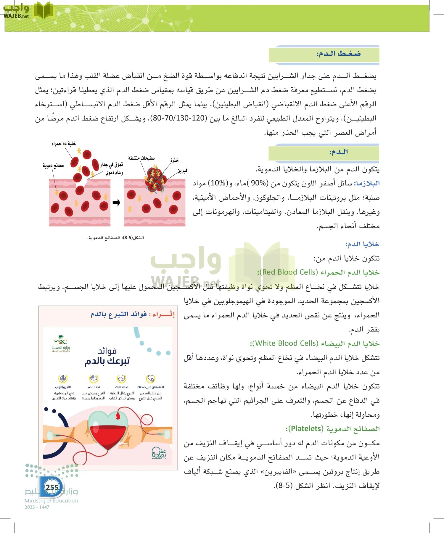 أنظمة جسم الإنسان page-254