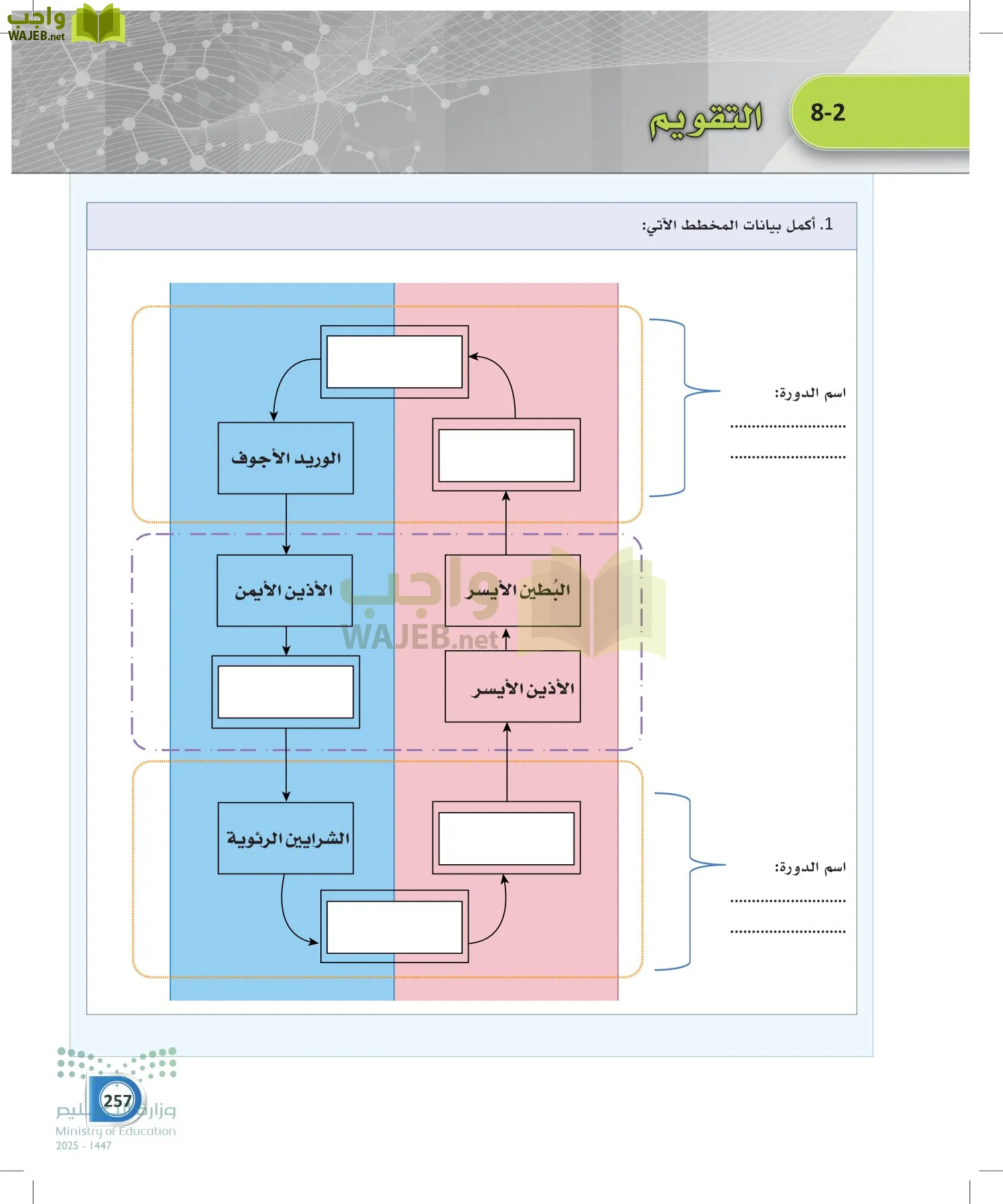 أنظمة جسم الإنسان page-256