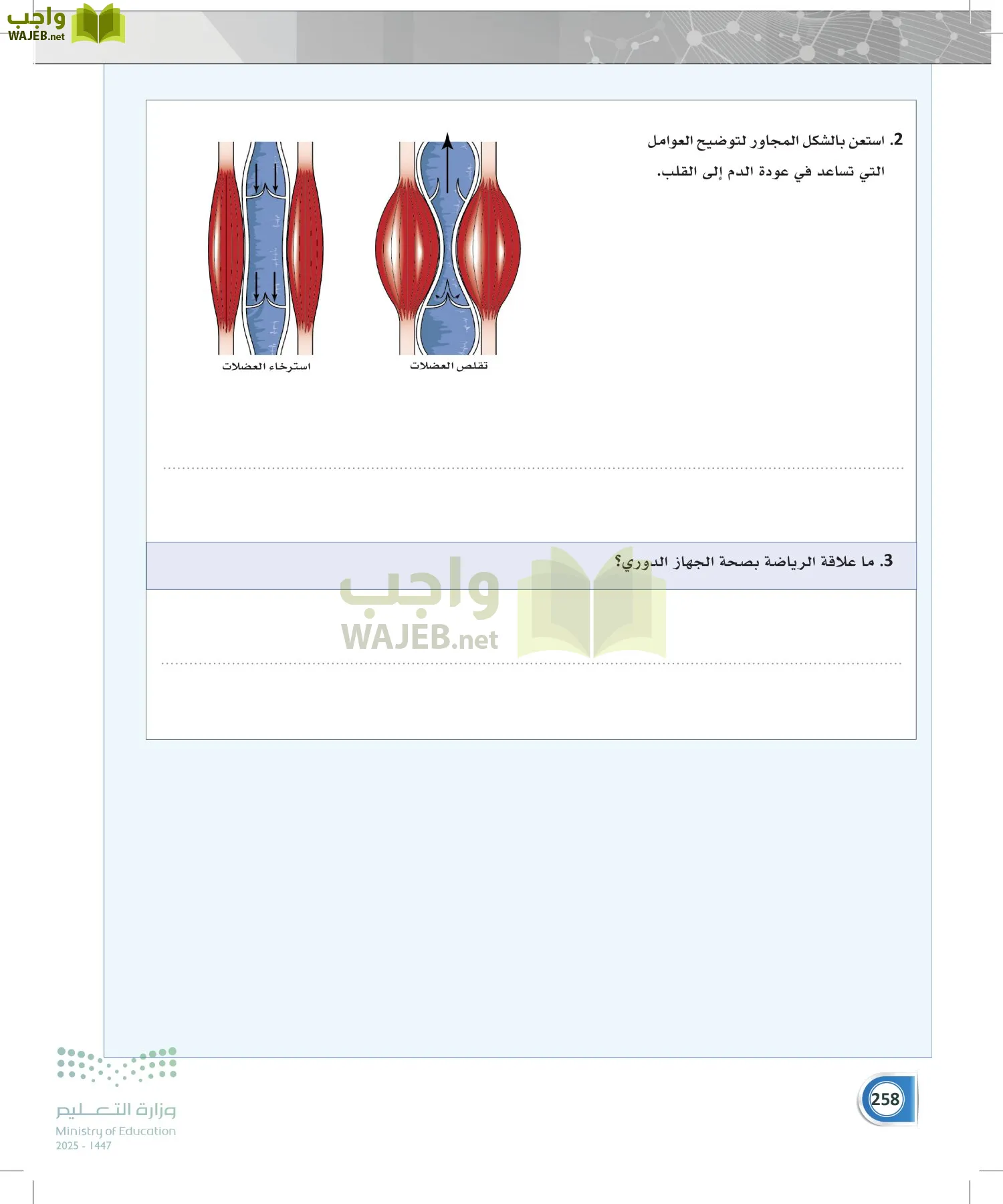 أنظمة جسم الإنسان page-257