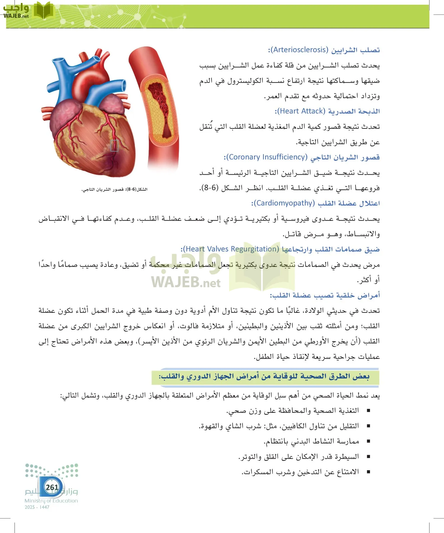 أنظمة جسم الإنسان page-260
