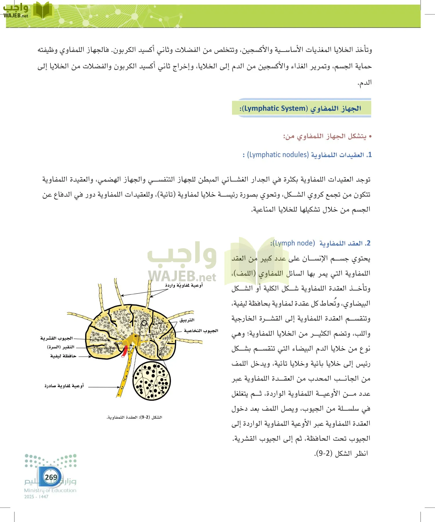 أنظمة جسم الإنسان page-268