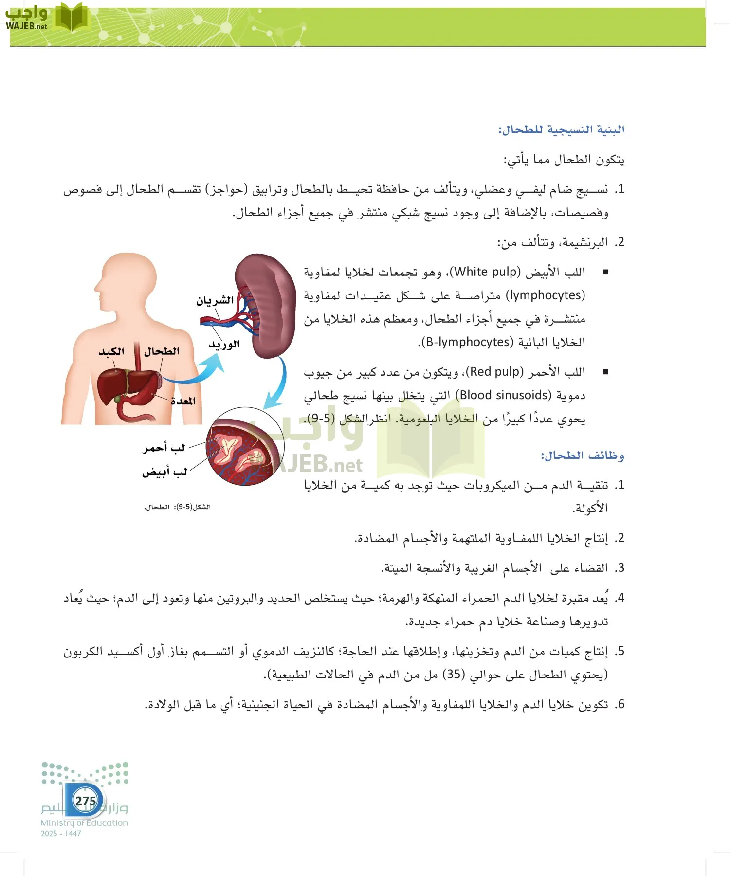 أنظمة جسم الإنسان page-274