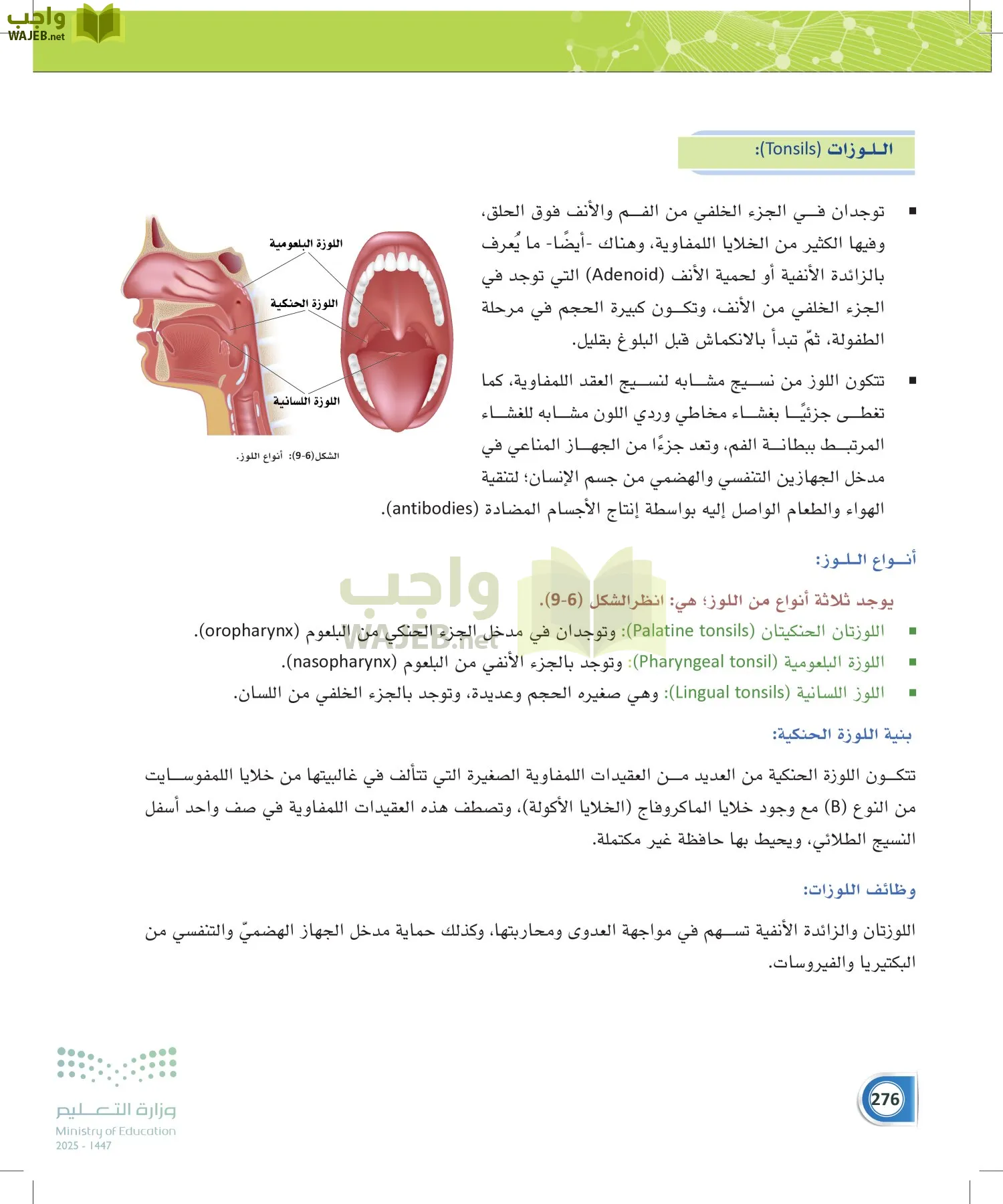 أنظمة جسم الإنسان page-275