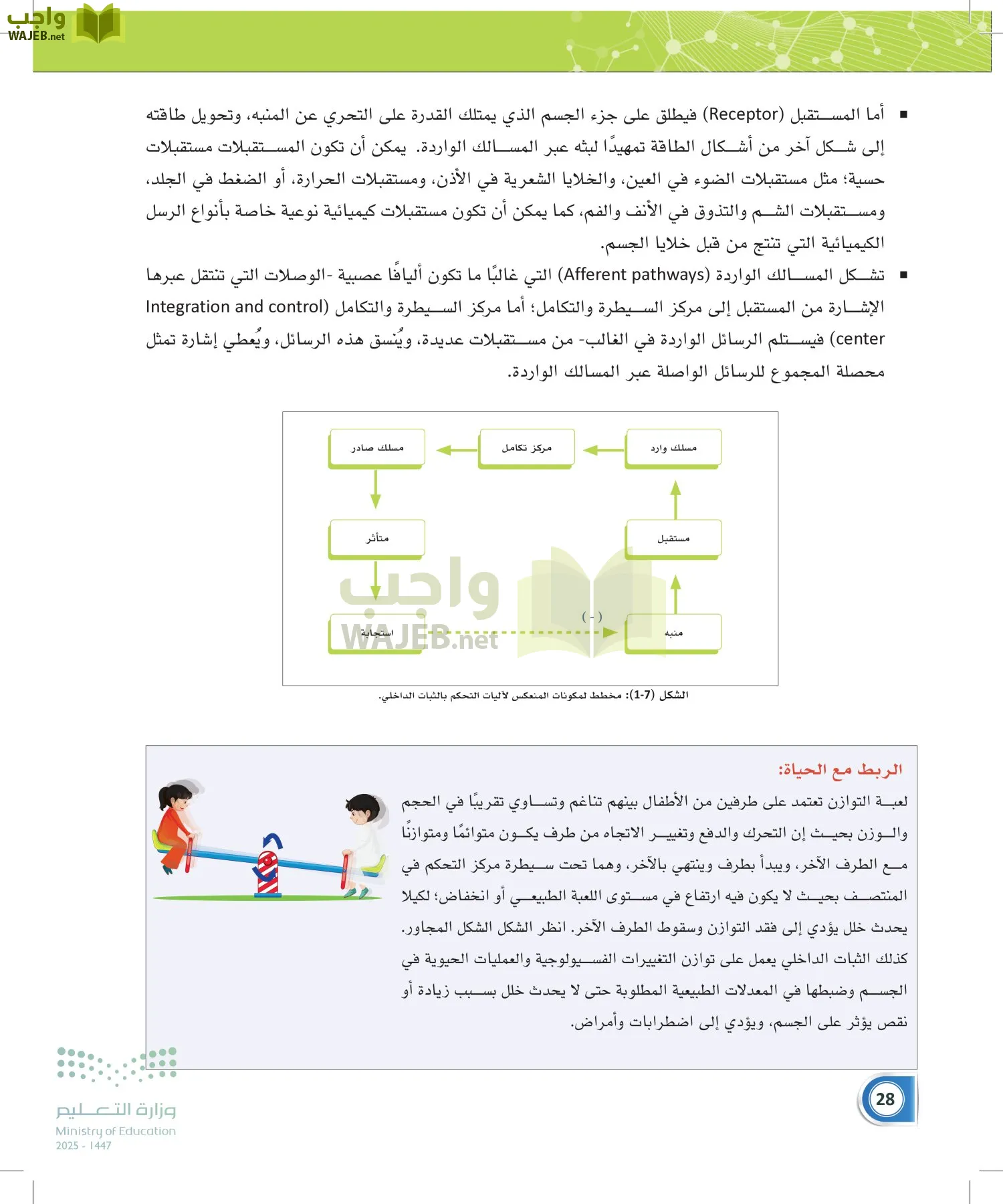 أنظمة جسم الإنسان page-27