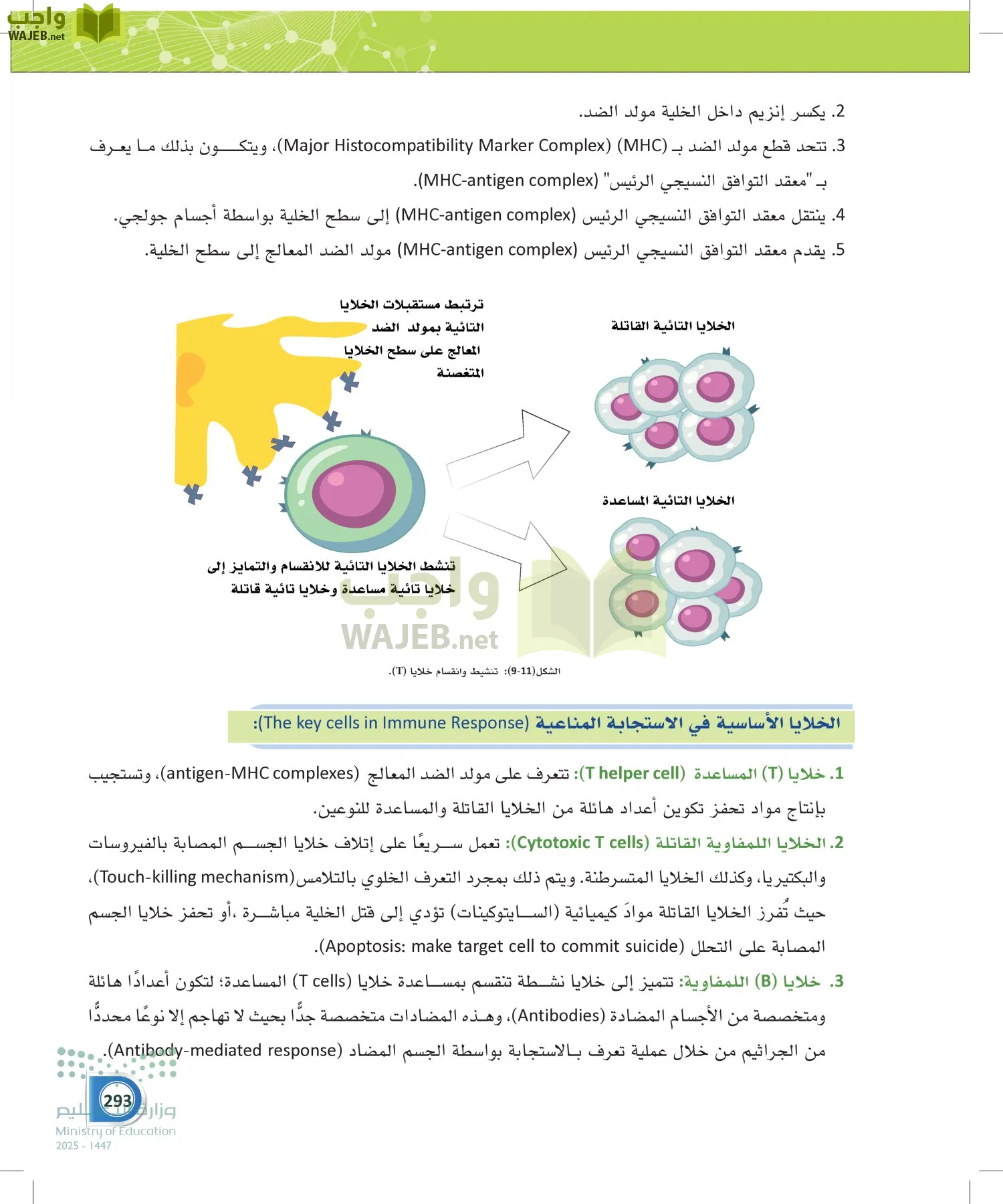أنظمة جسم الإنسان page-292