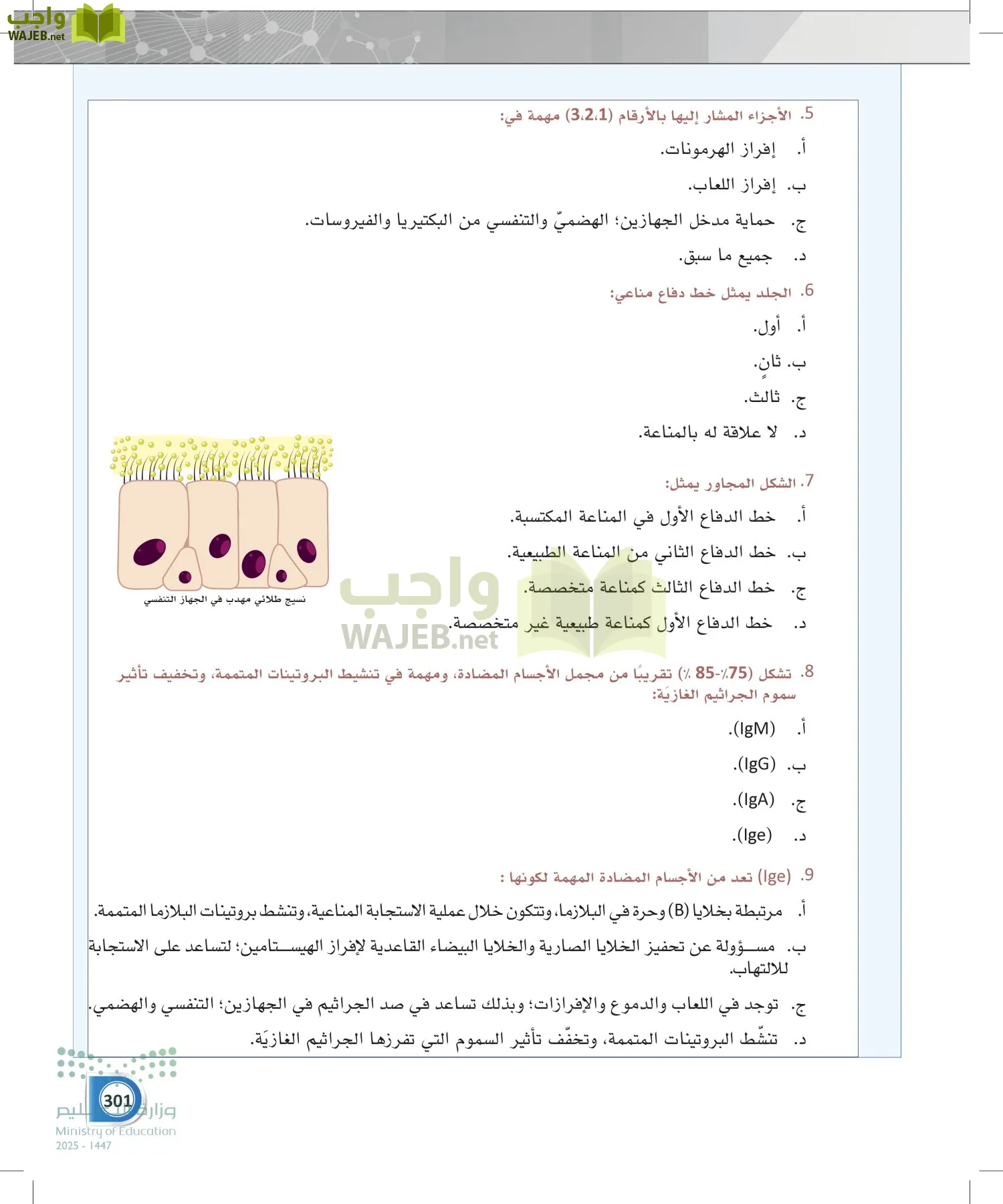 أنظمة جسم الإنسان page-300