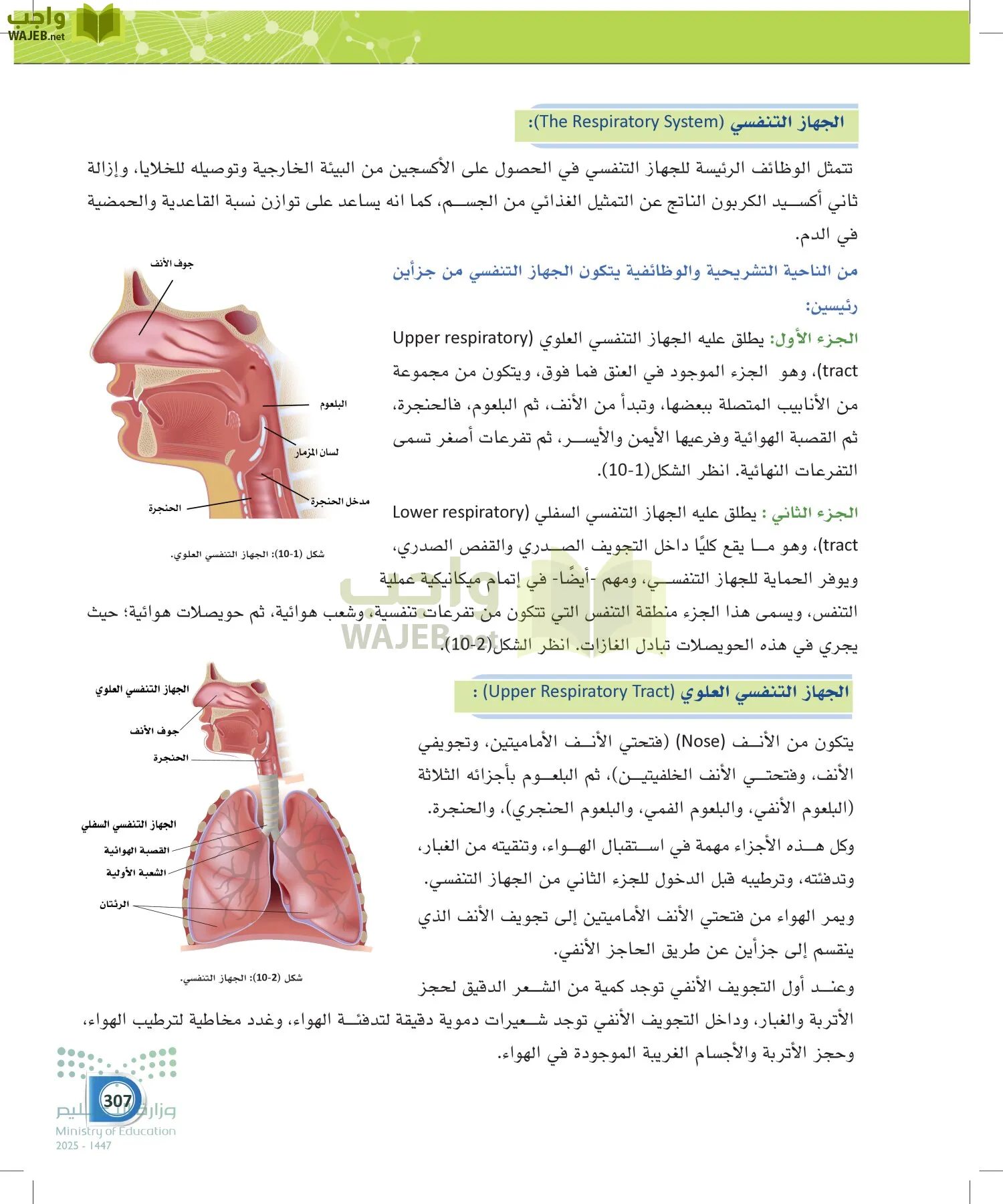 أنظمة جسم الإنسان page-306