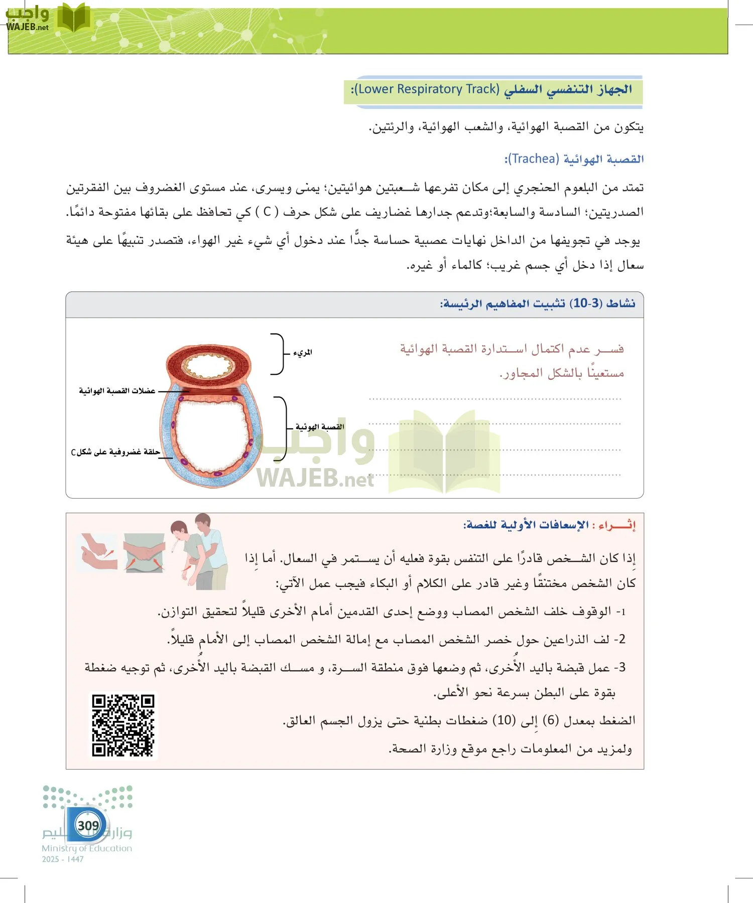 أنظمة جسم الإنسان page-308