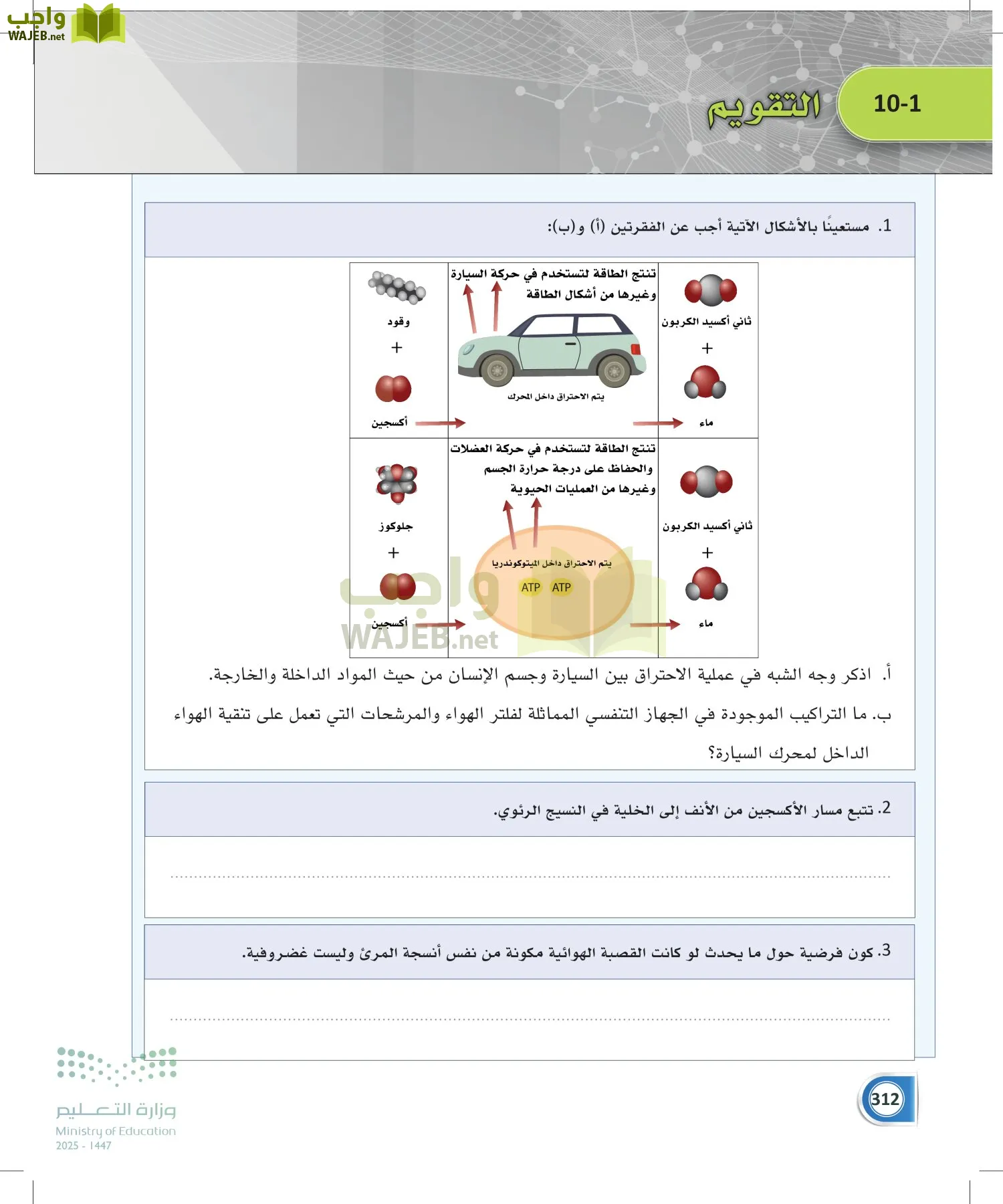 أنظمة جسم الإنسان page-311