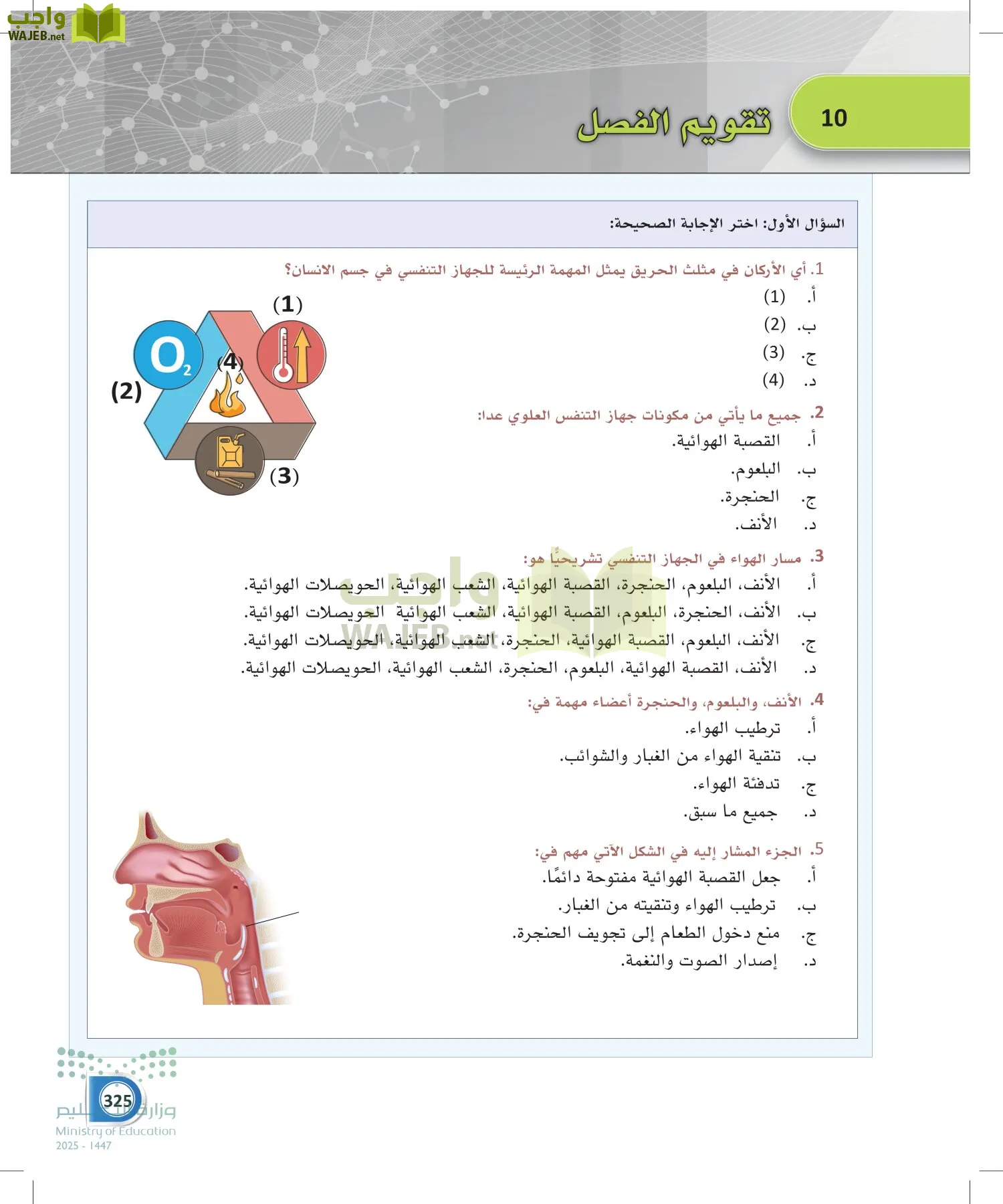 أنظمة جسم الإنسان page-324