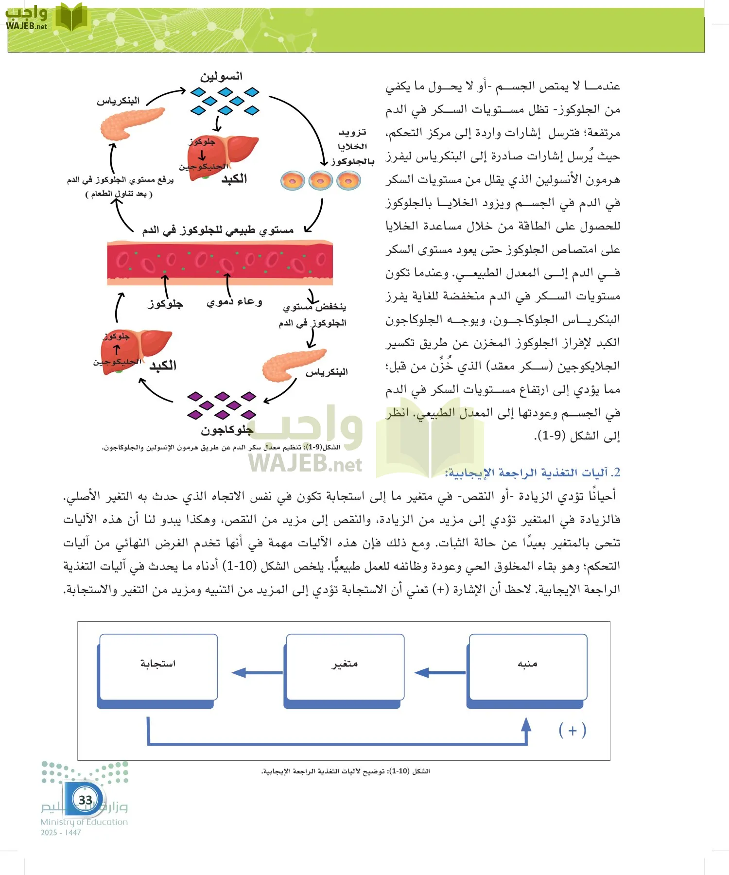 أنظمة جسم الإنسان page-32