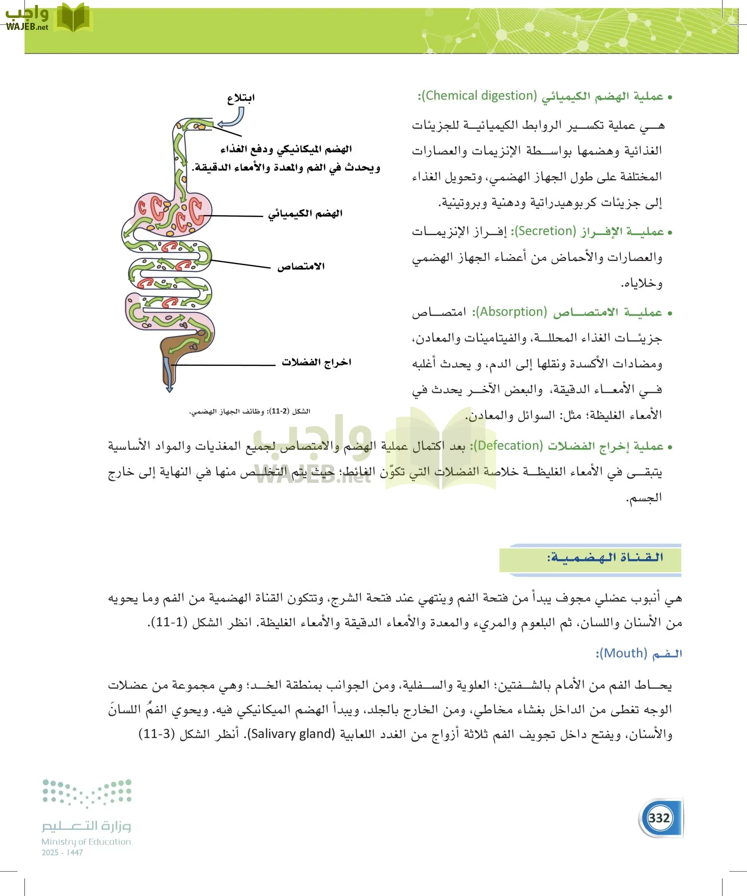 أنظمة جسم الإنسان page-331