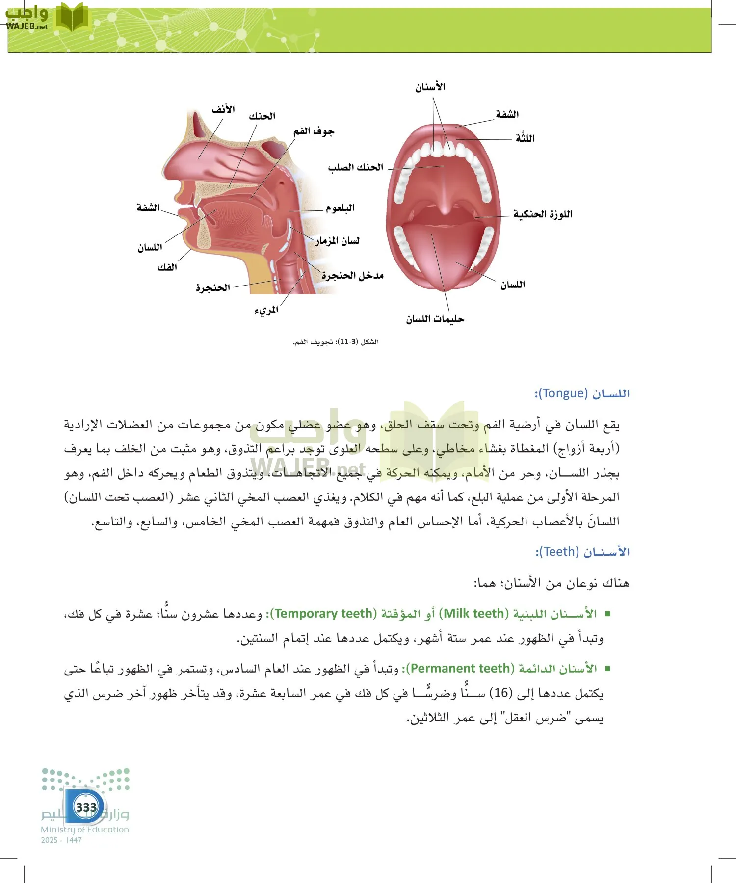 أنظمة جسم الإنسان page-332