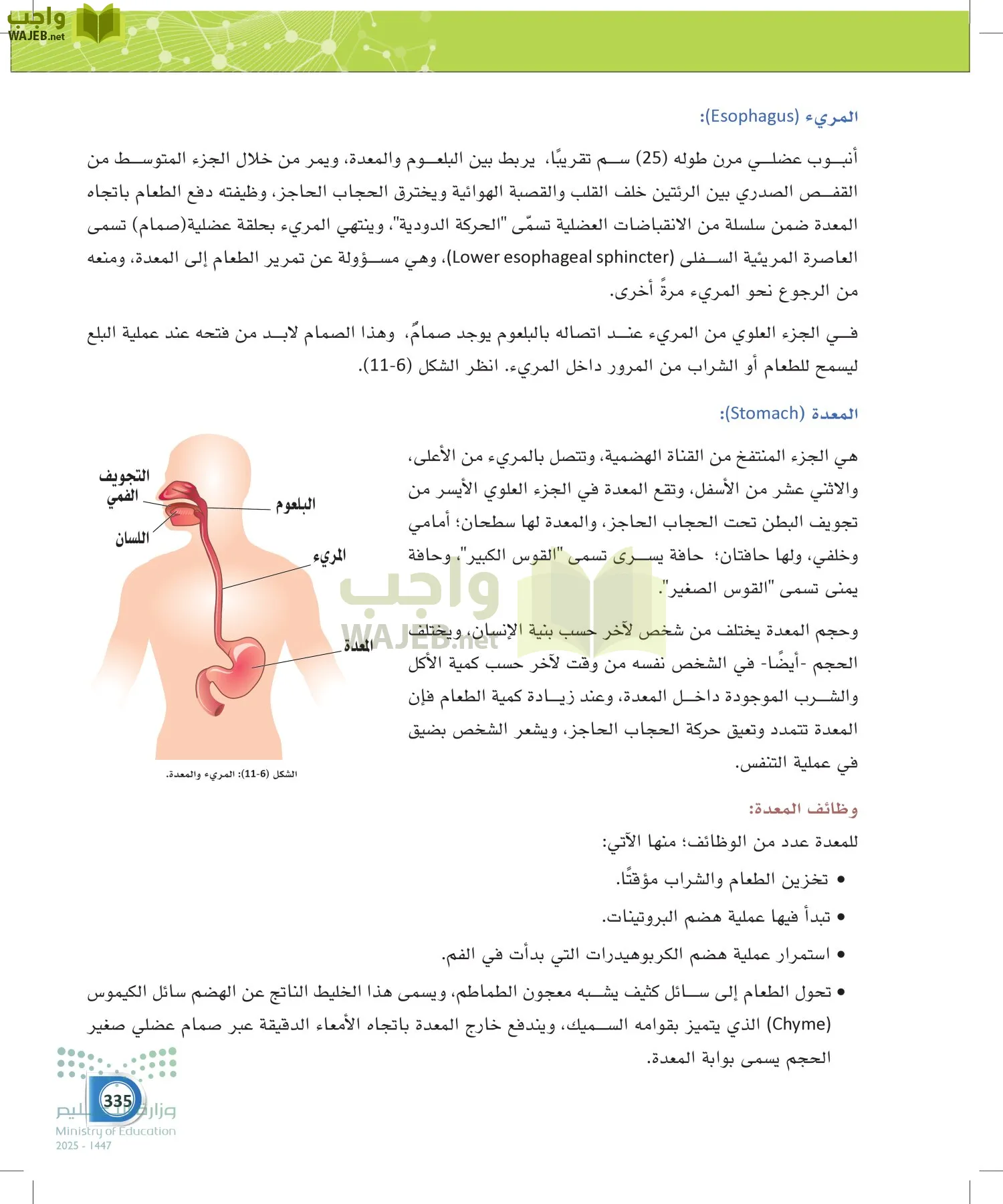 أنظمة جسم الإنسان page-334