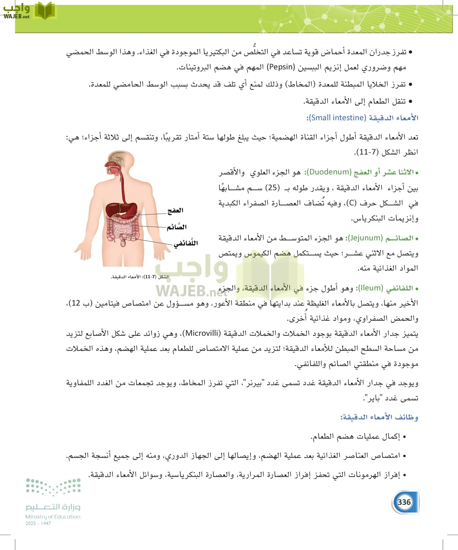 أنظمة جسم الإنسان page-335