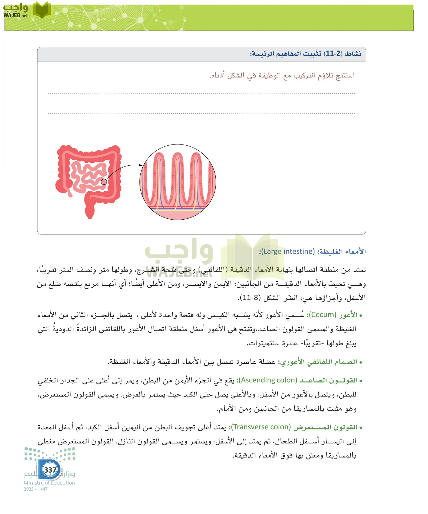 أنظمة جسم الإنسان page-336