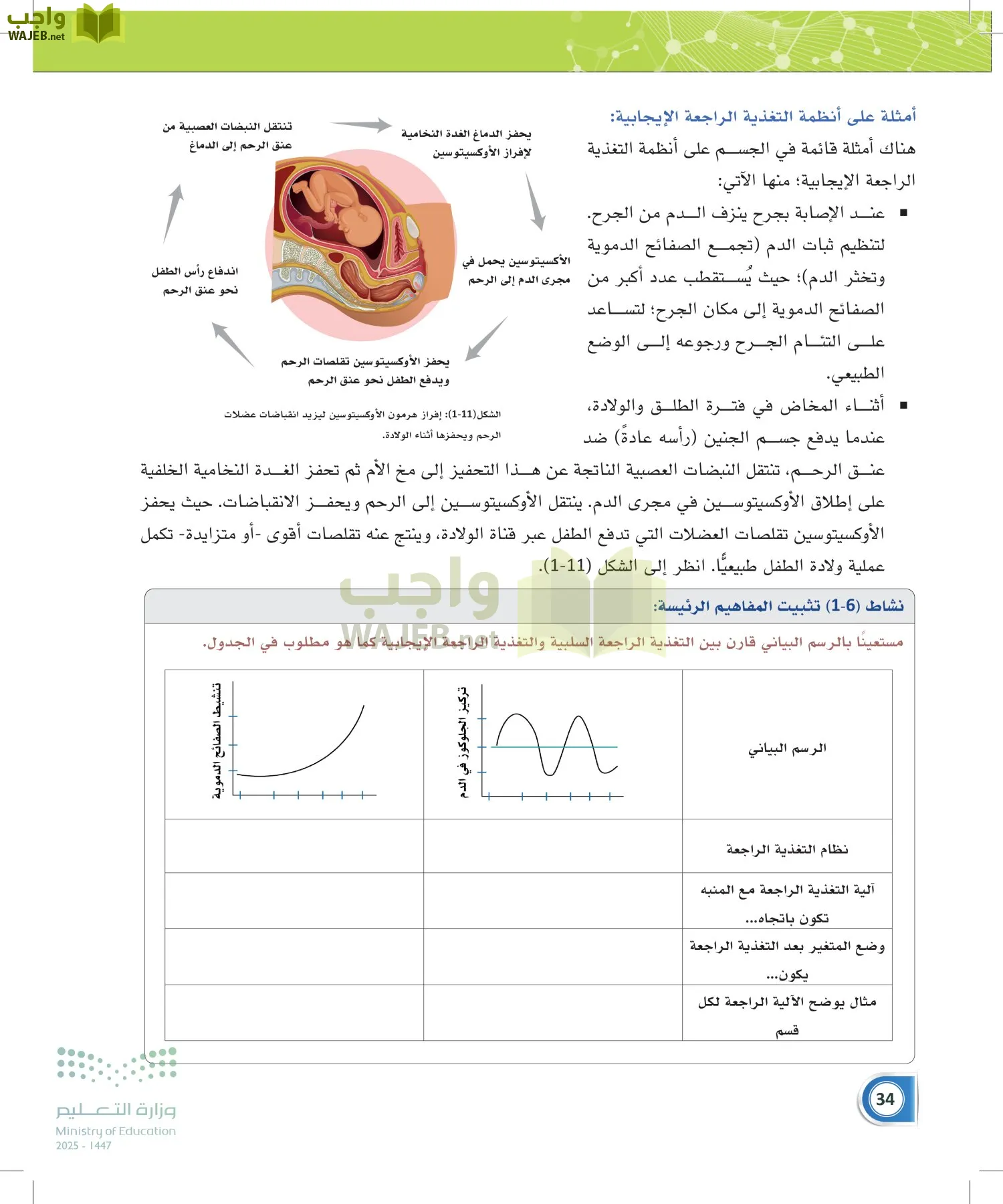 أنظمة جسم الإنسان page-33